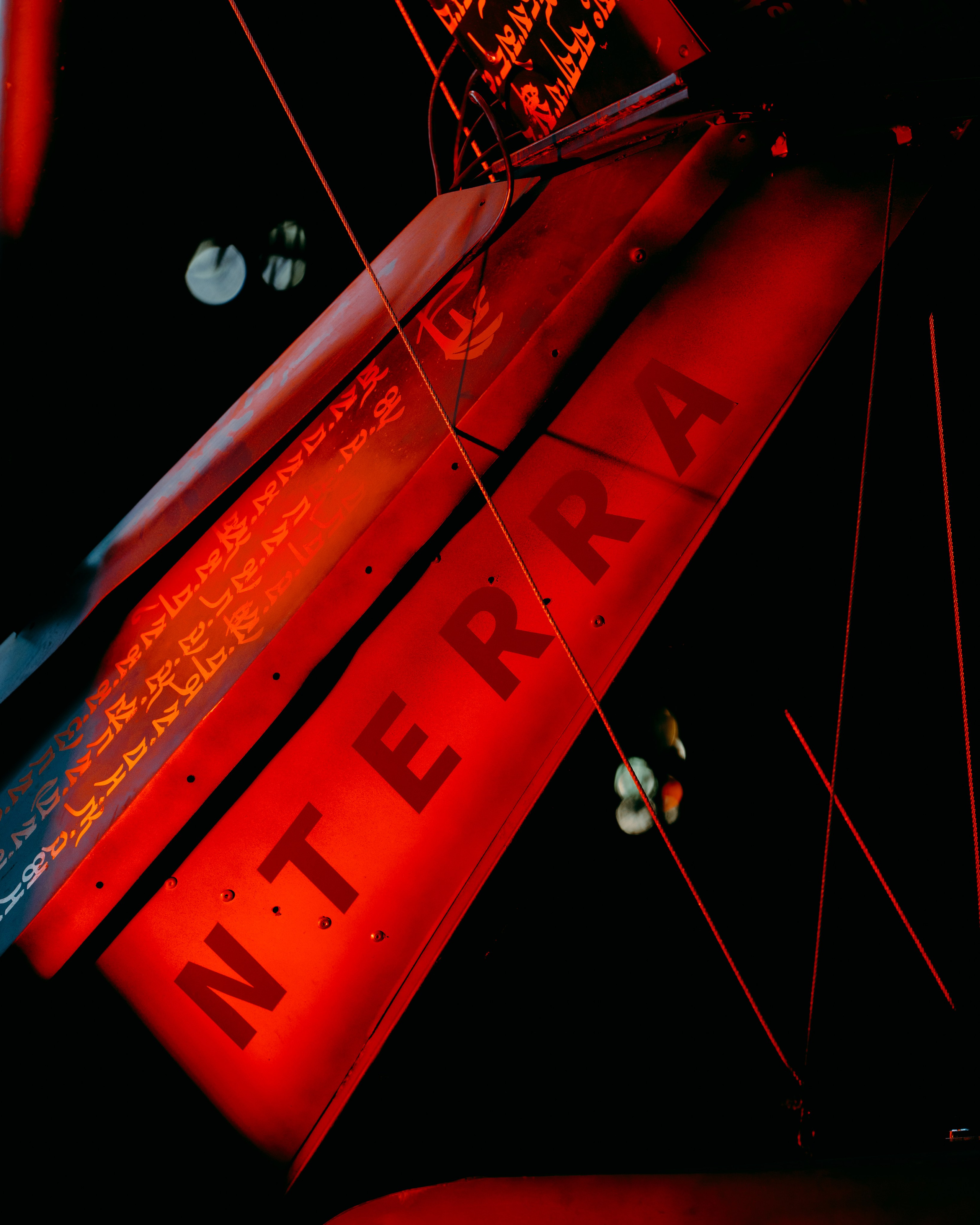 PANTERRA, Cyber Flower. @tomrus: Рустам Шагиморданов — фотограф