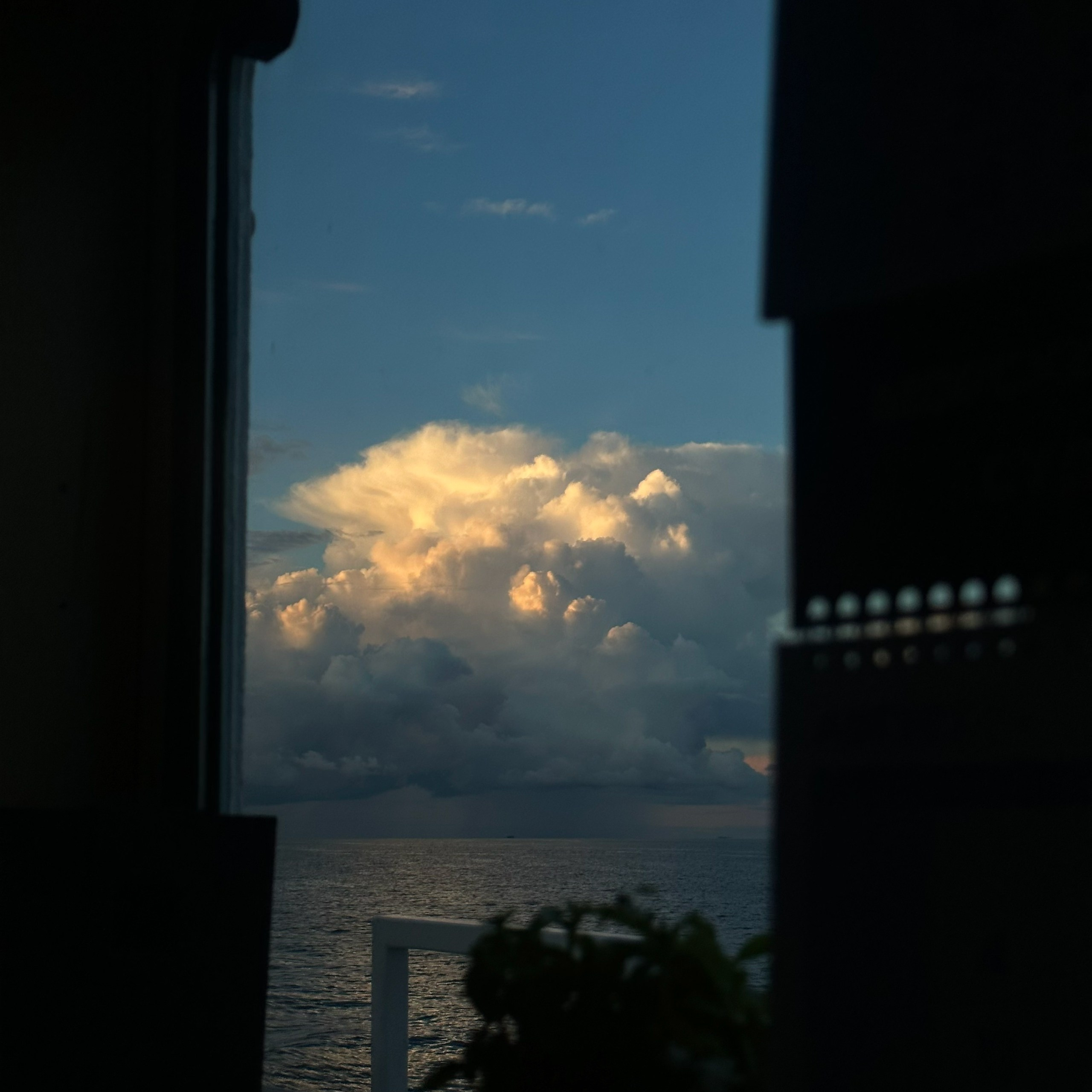 СПБ МАРИН СТРИТ ФОТОГРАФИ. СПБНЛО