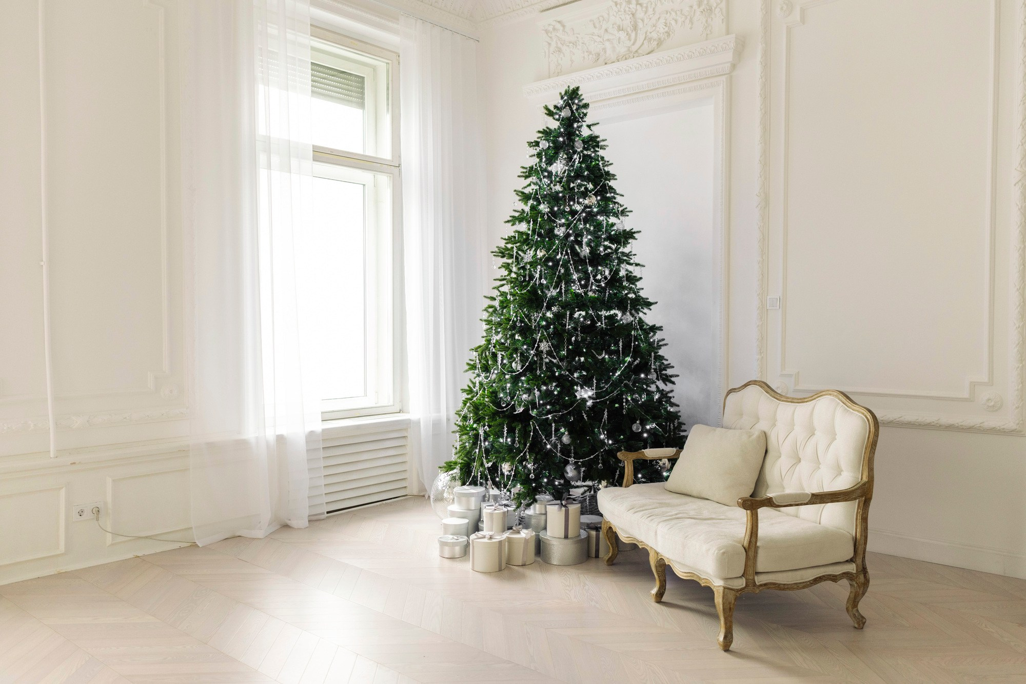 Фотодень «Душа Балета» в Санкт-Петербурге. Балетный фотограф Алина Ханько — Душа Балета