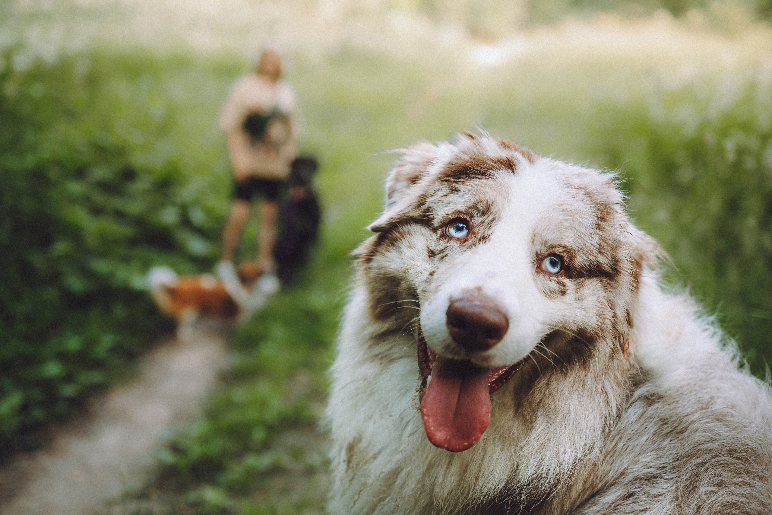 Катя, Андрей, Гектор, Ричи, Тортик и Трой