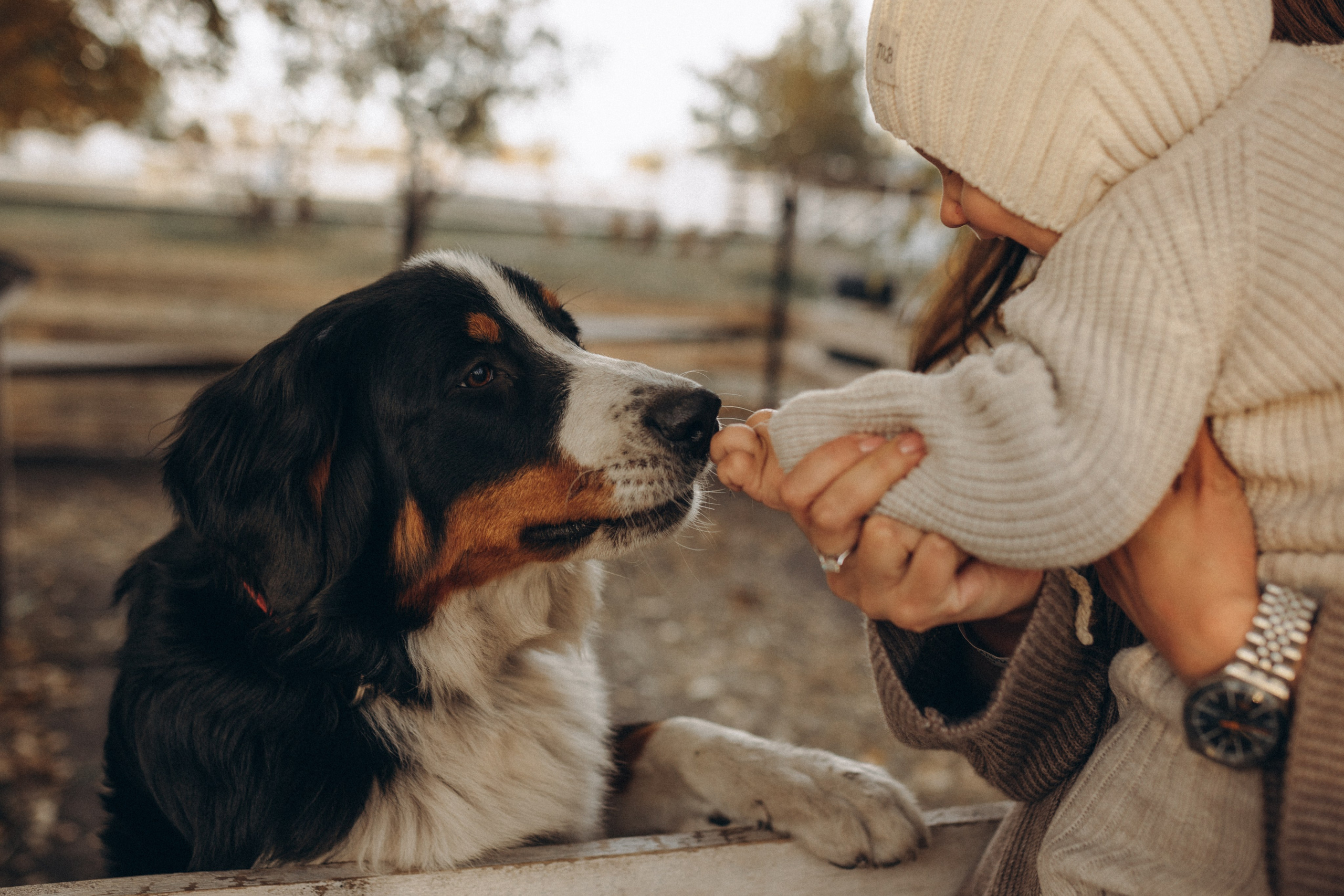 Фотопрогулка. Главная