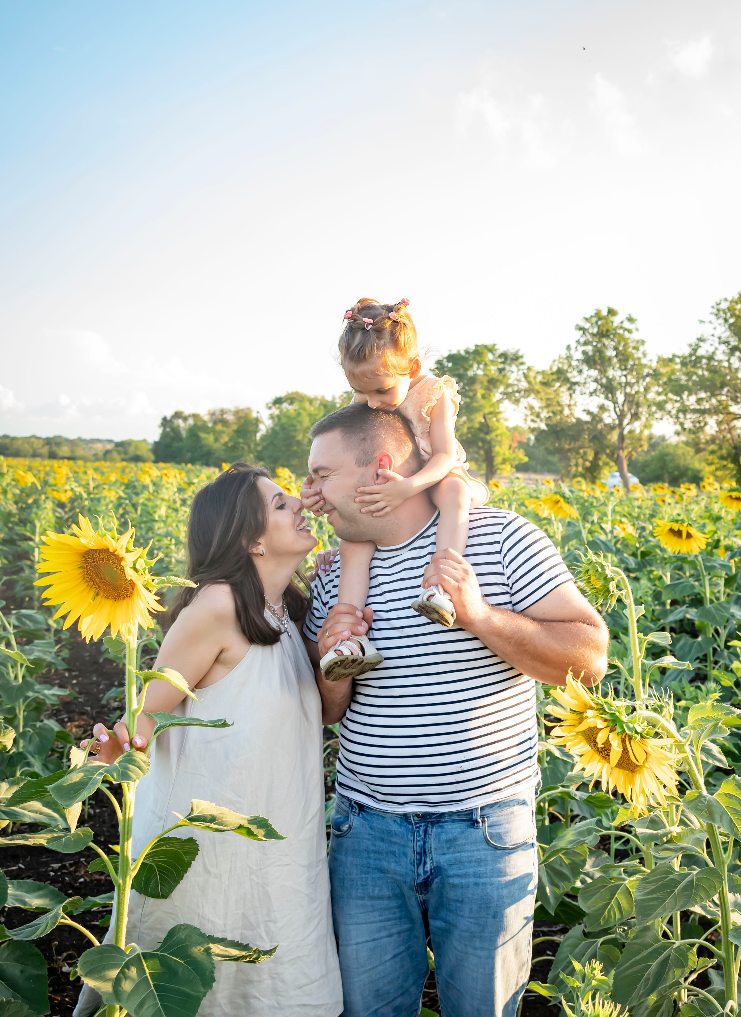 Летняя прогулка. Главная