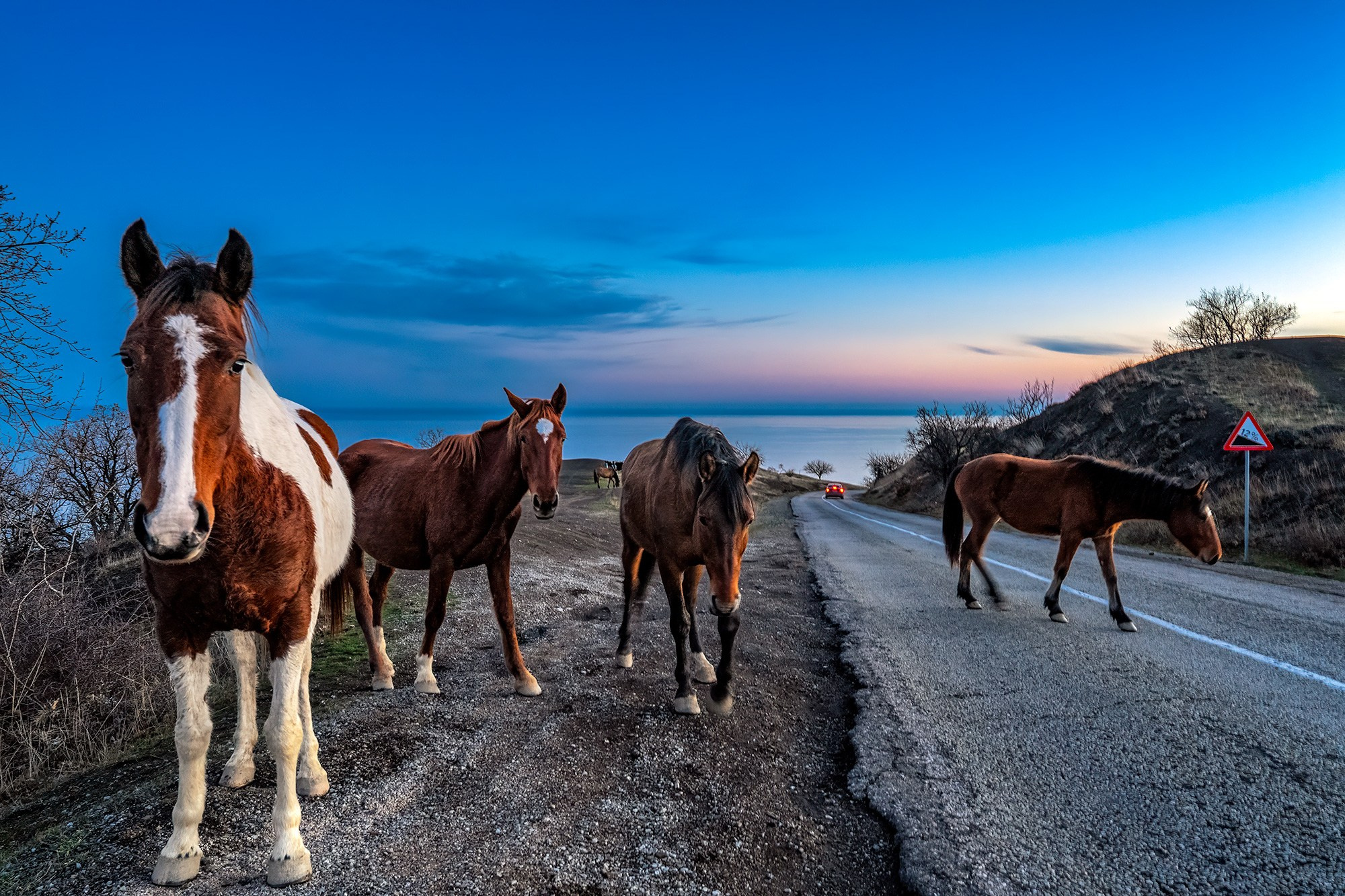 Крым. Фотограф Владимир Остапенко