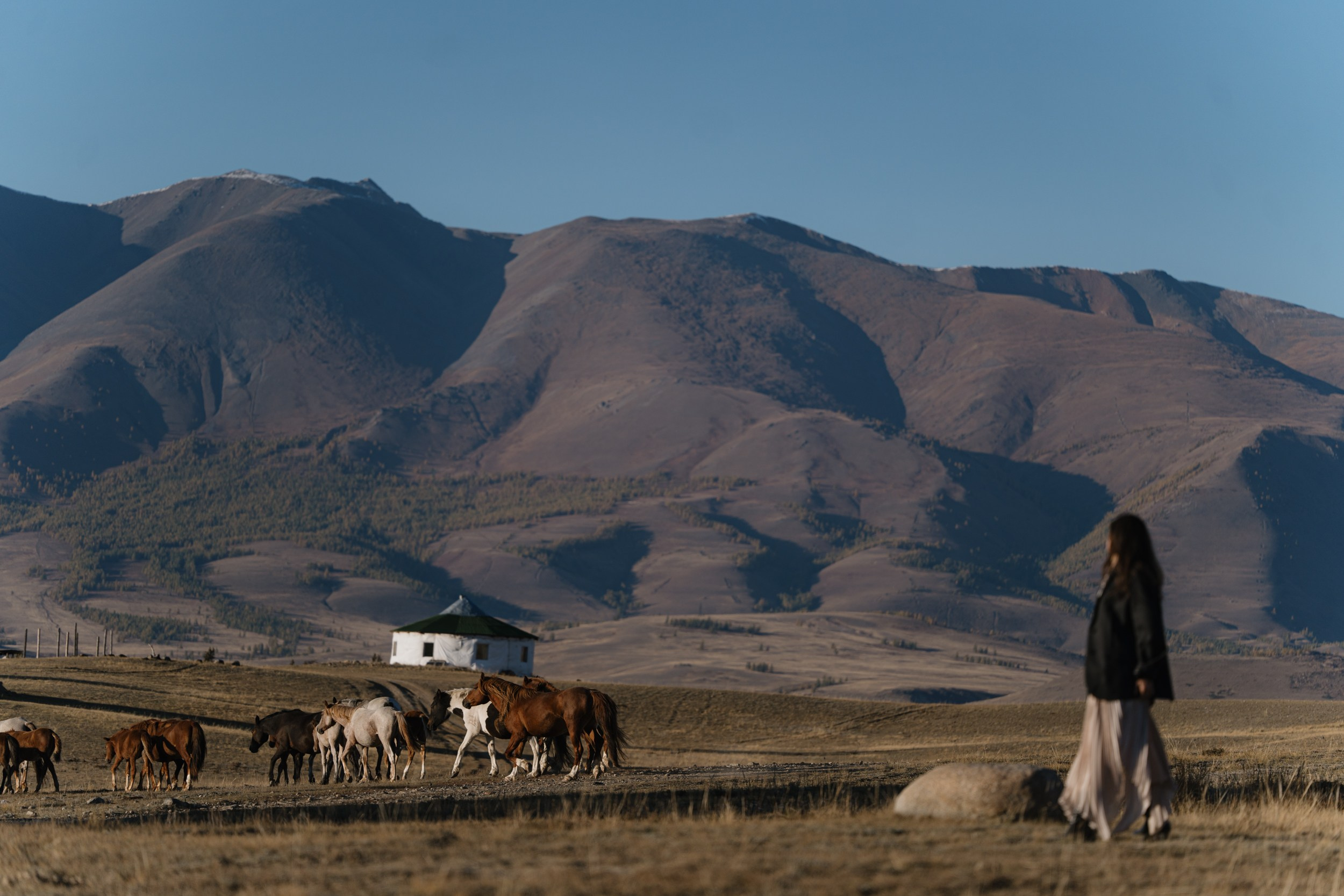 Road Trip to Altay. Фотограф Томск, Новосибирск Влад Свириденко