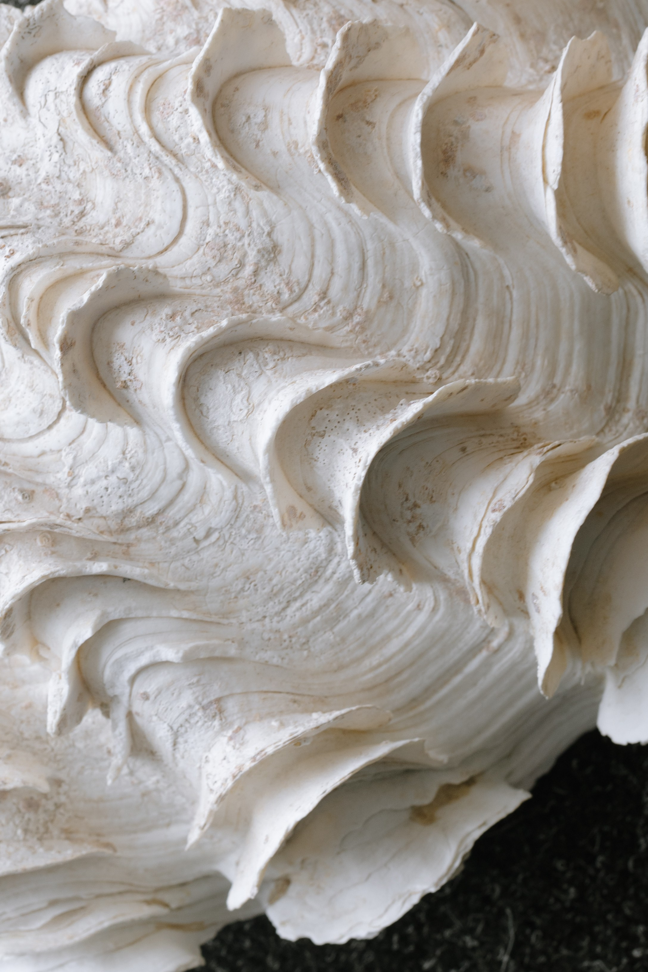 Денис и Настя: свадьба на Камчатке. @dariazphoto свадебный фотограф