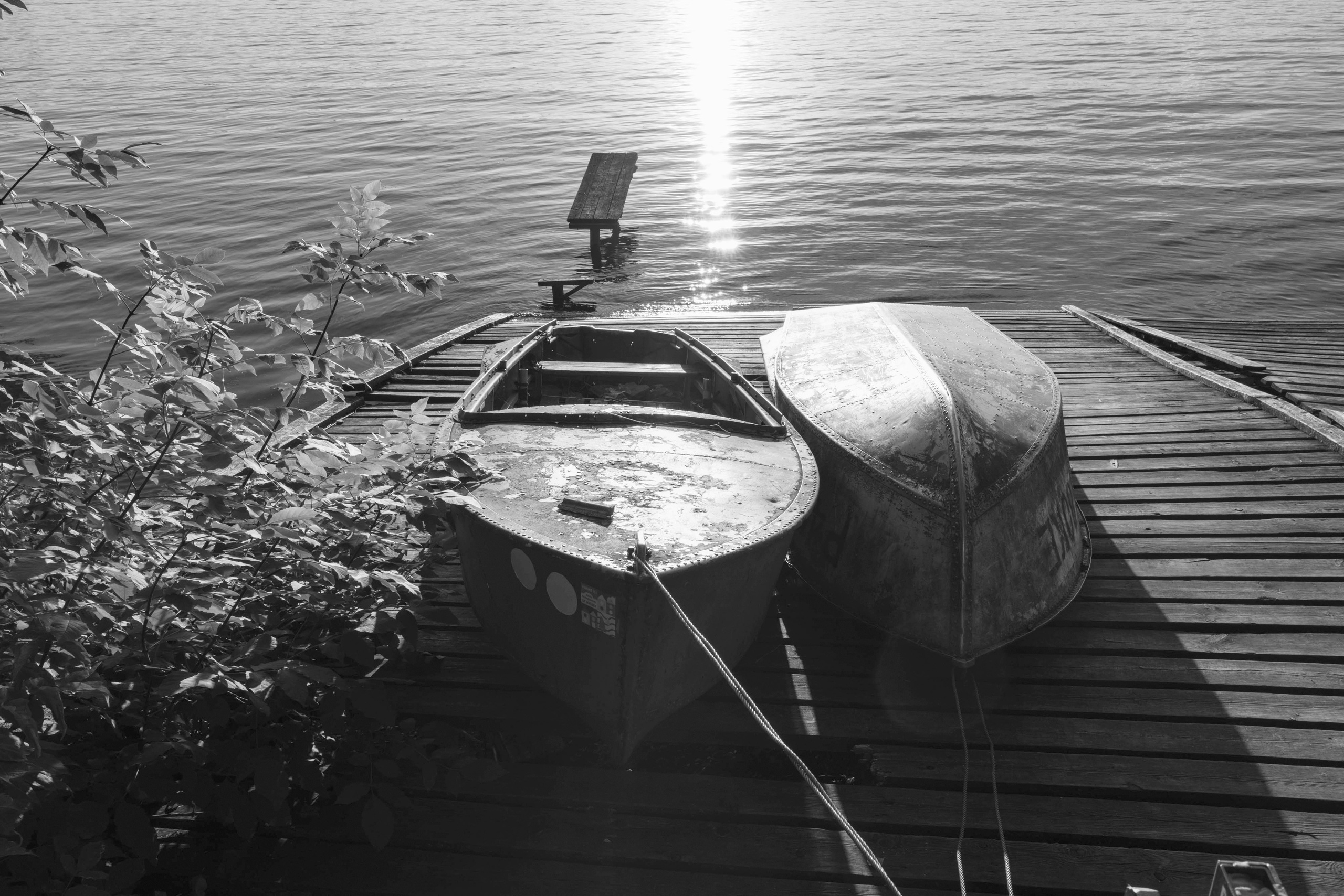 Мир тропы. Tatiana Mishchenko