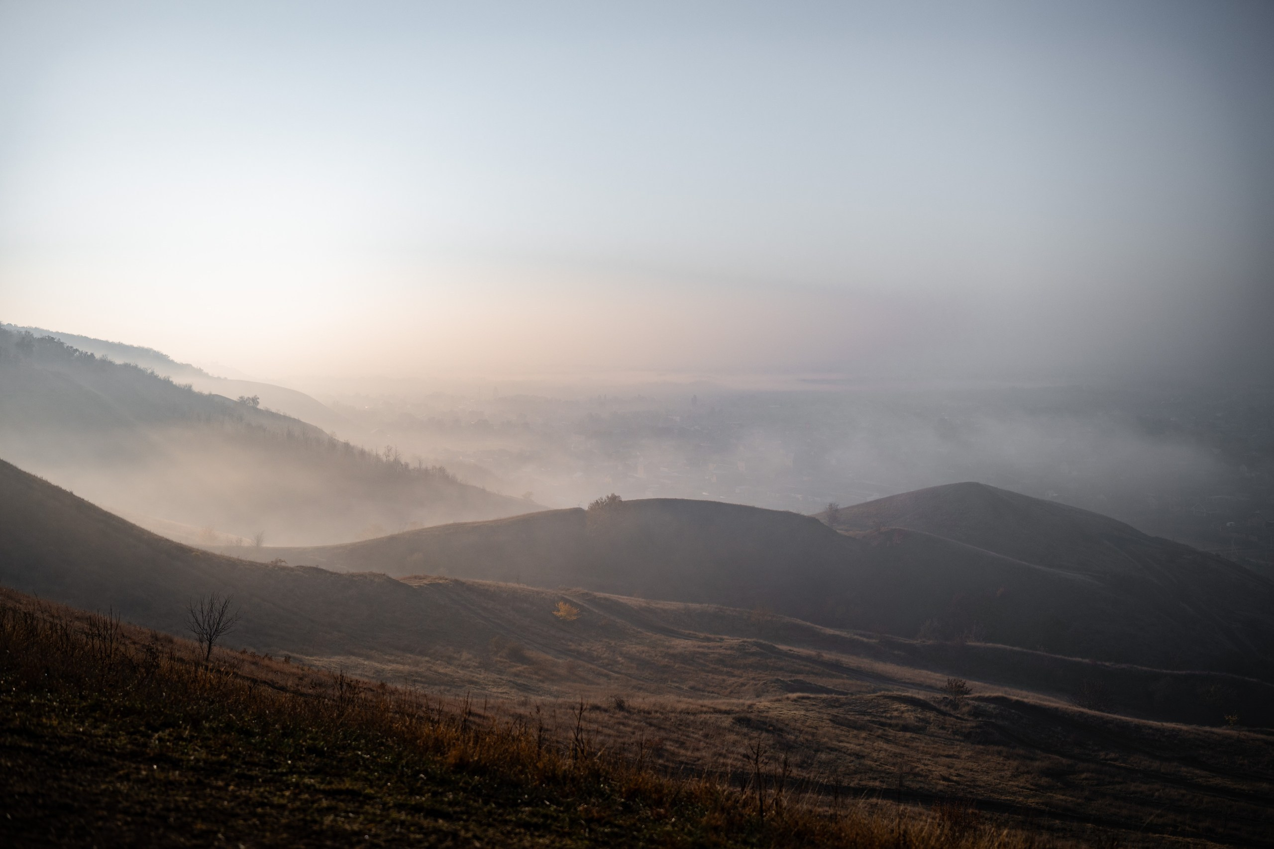 Поток 10/11/2024. Фотограф в Краснодаре Алена Горбунова