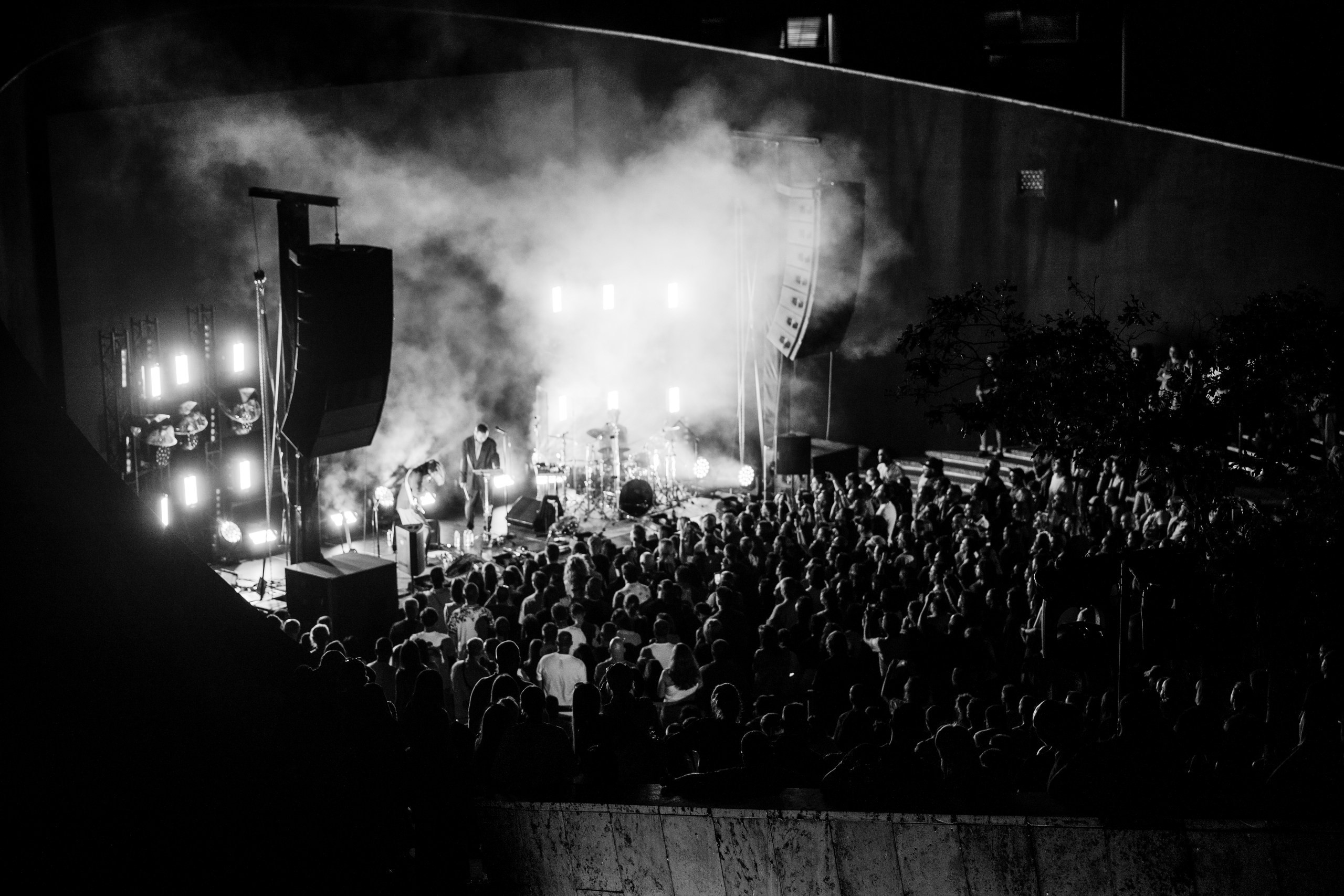 Дельфин. Roof Live Краснодар. 16/08/2026. Фотограф в Краснодаре Алена Горбунова