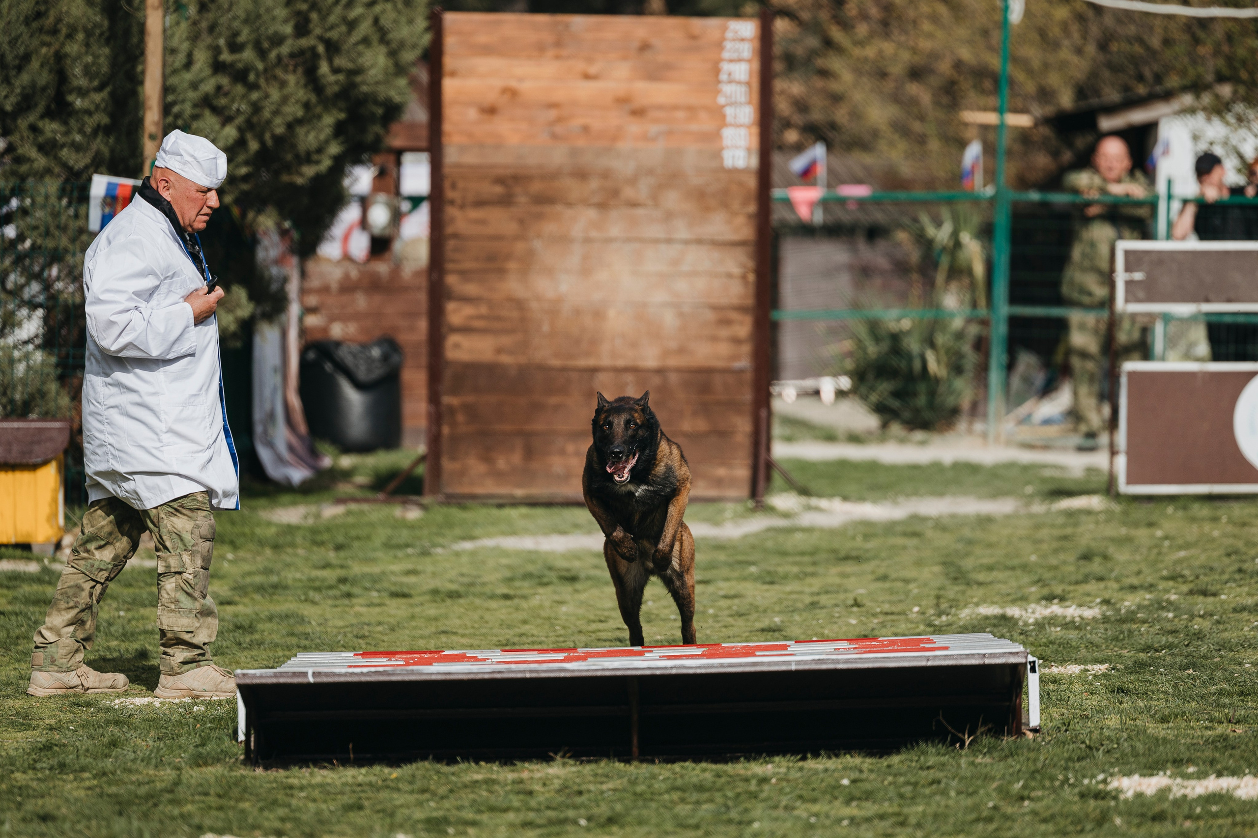 Геленджик Мондьоринг. Фотограф-анималист Анна Маринич