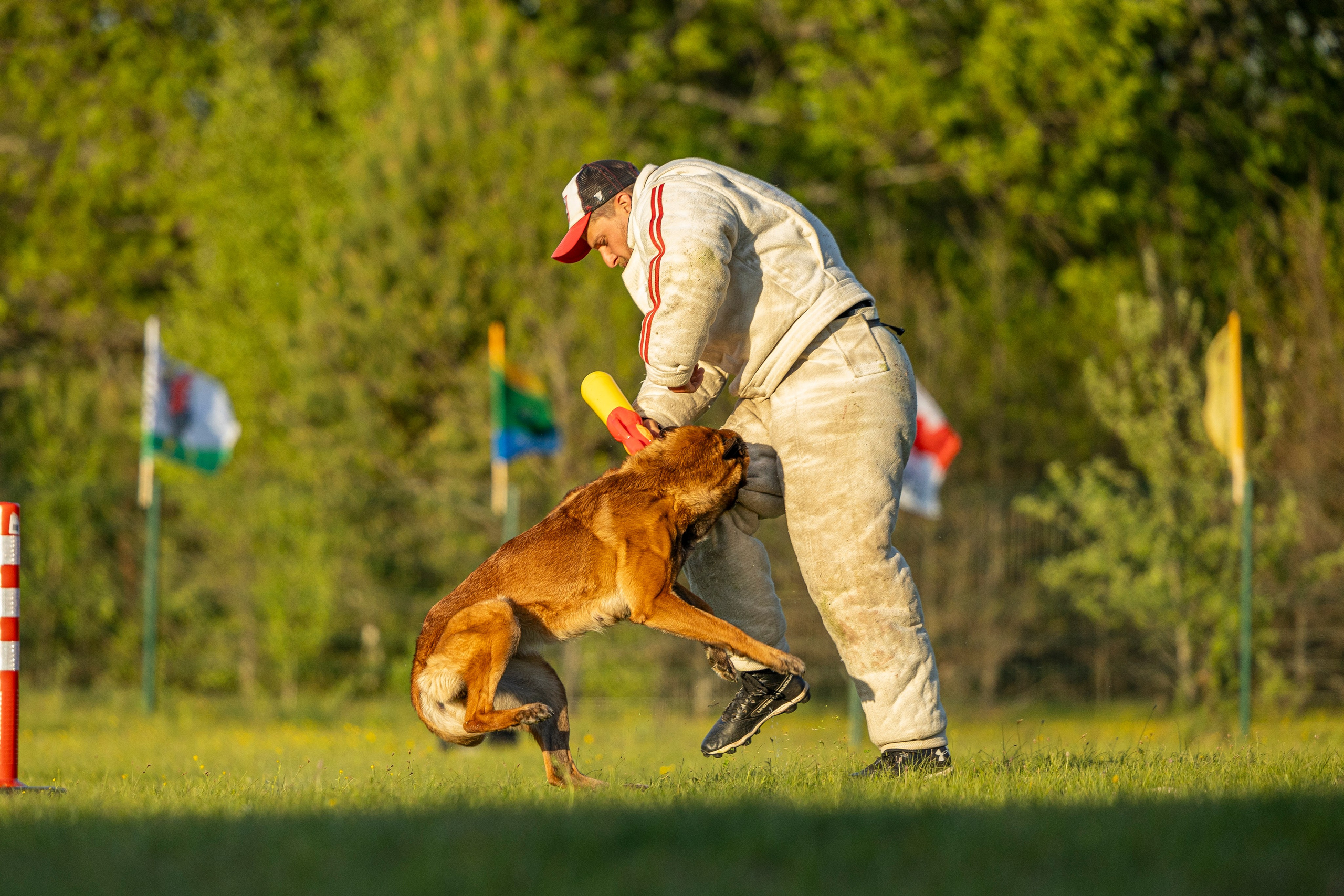 Испытания по мондьорингу в Нижнем Новгороде. Фотограф-анималист Анна Маринич