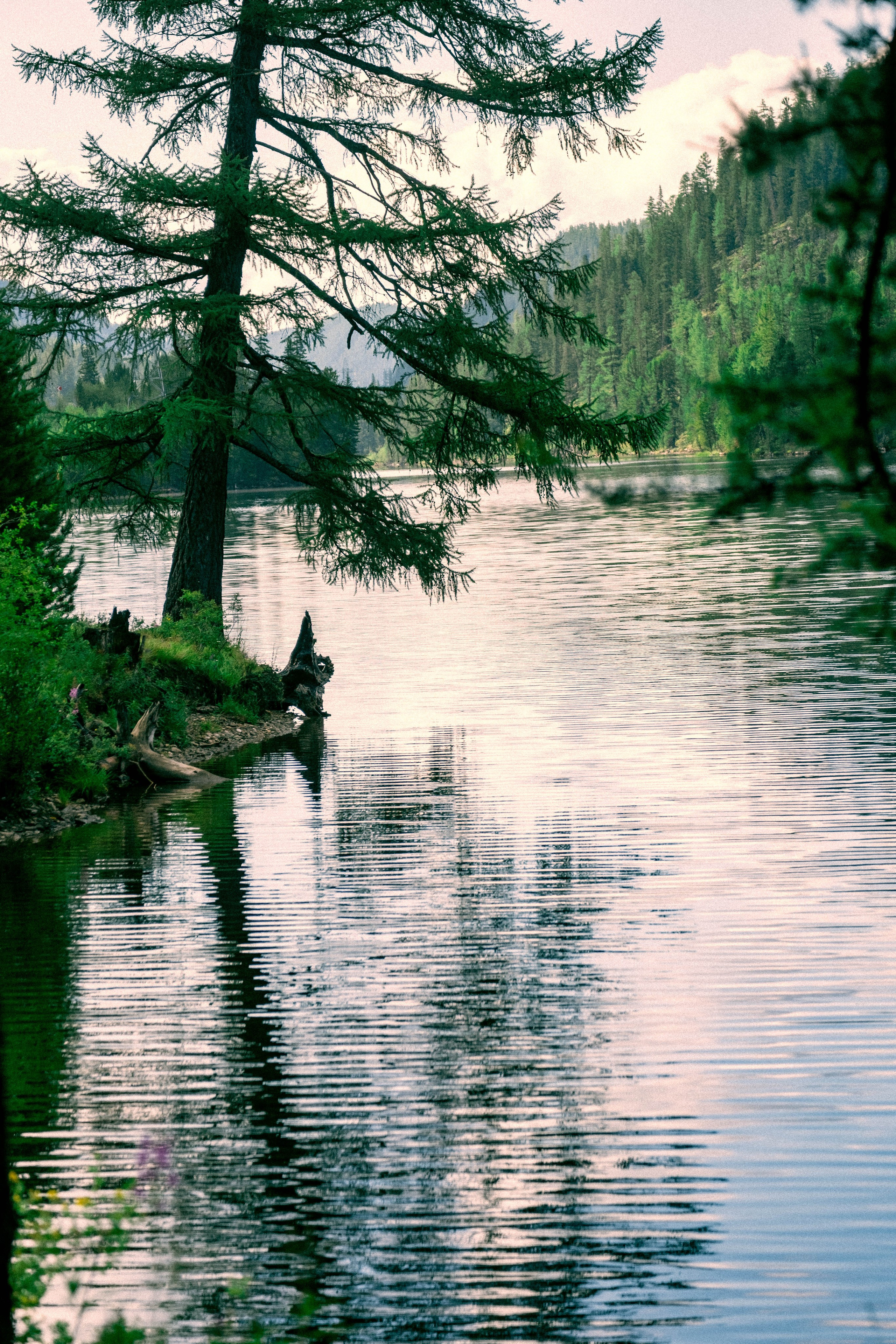 RUSSIA. Фотограф |Герасимова София
