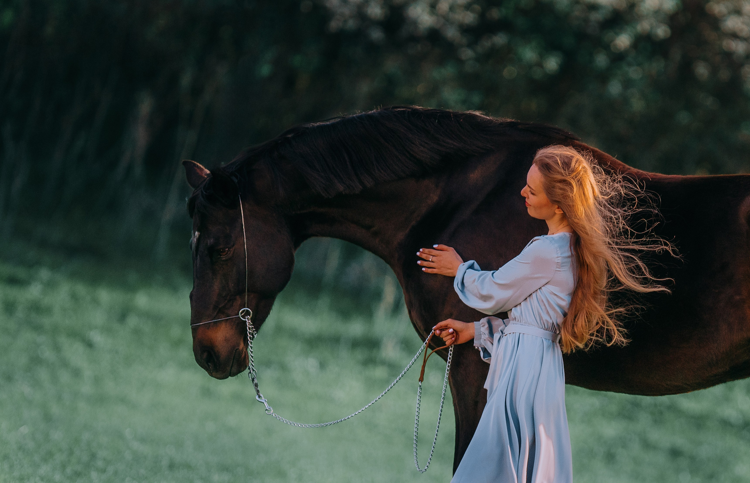 Вероника и Брэй. Фотограф-анималист Ксендзова Кристина