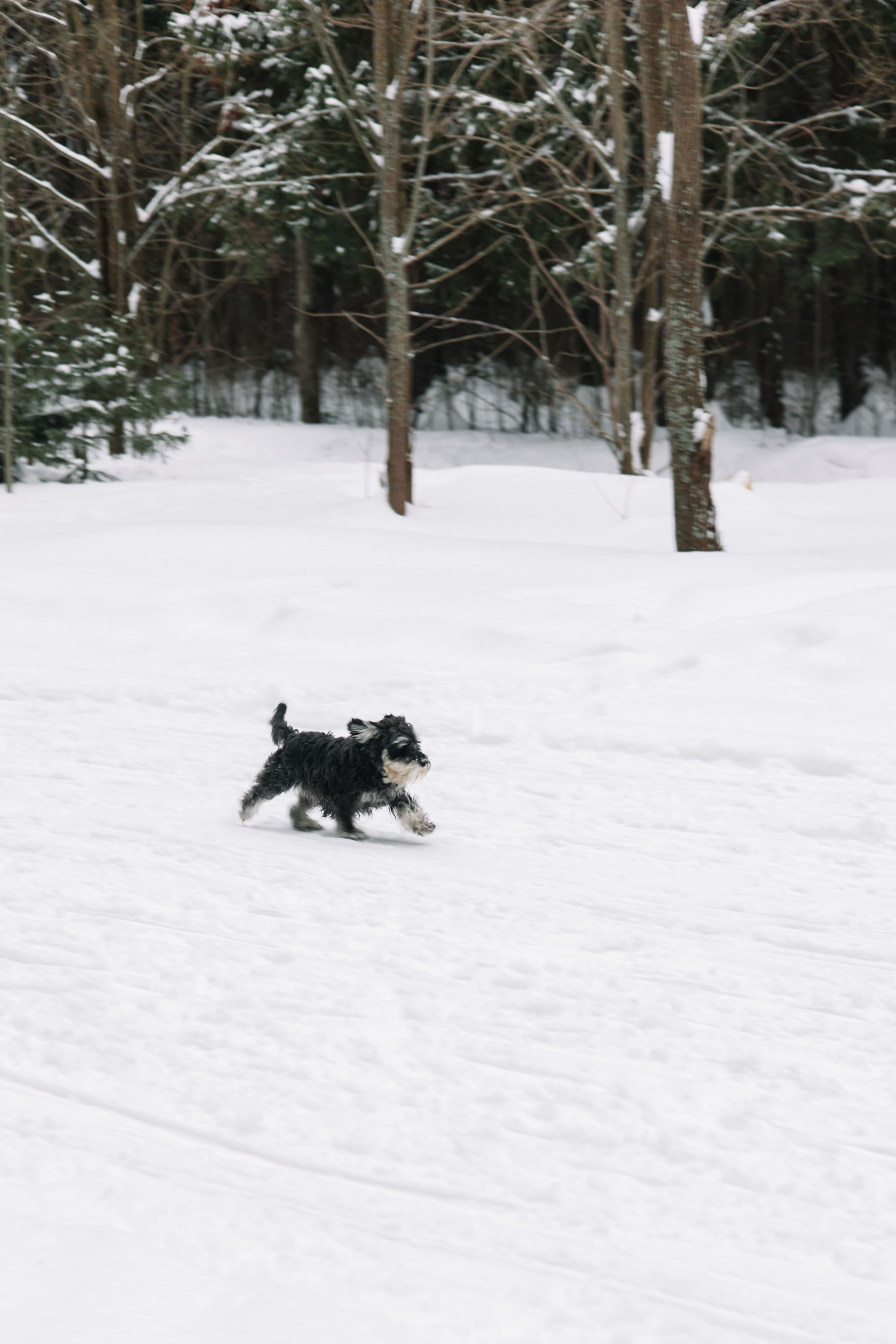 Оля. Свадебный и семейный фотограф в Перми Лилия Гатауллина