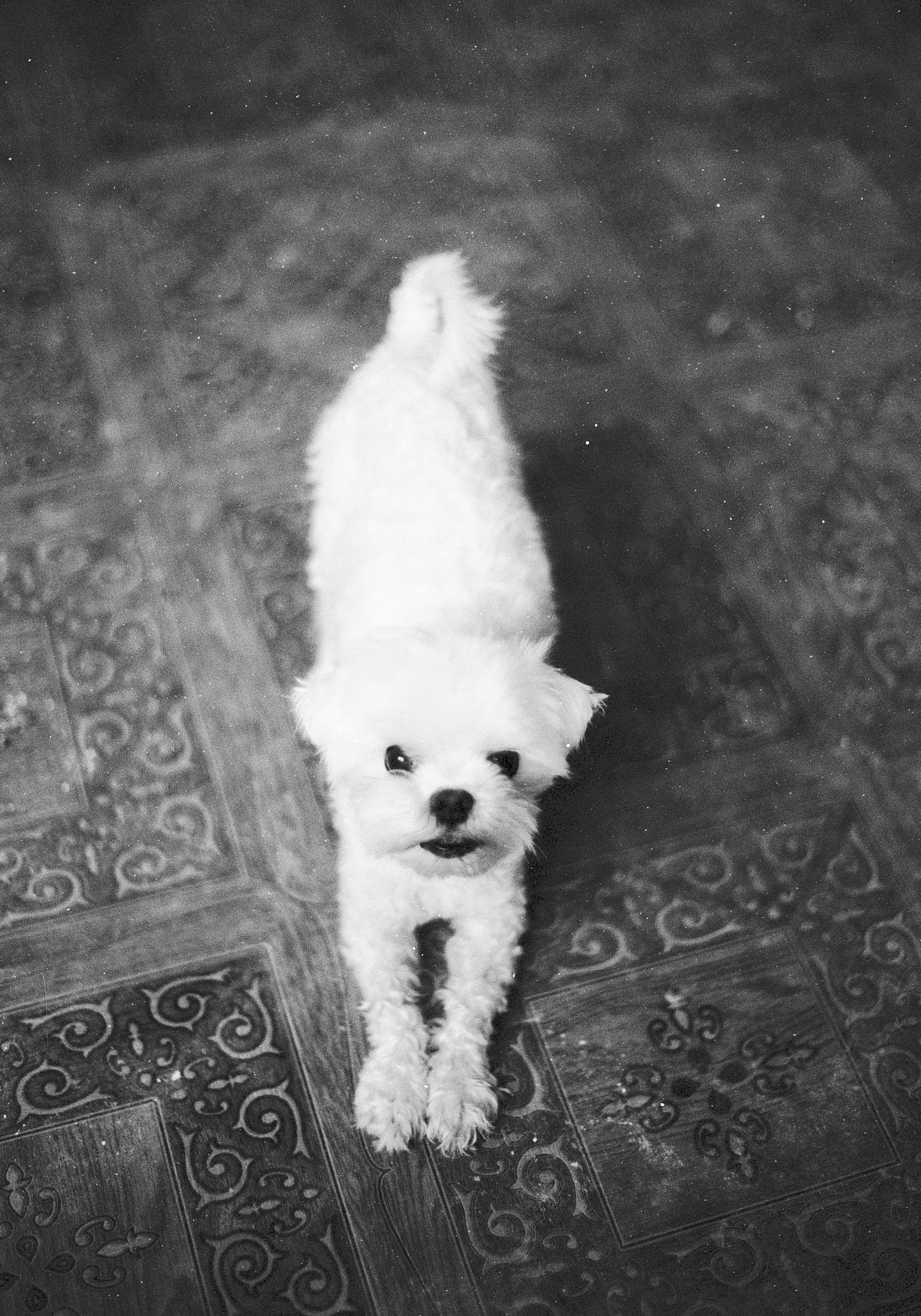 D&B 2. Stylist and film photographer Anastasia Shlokova