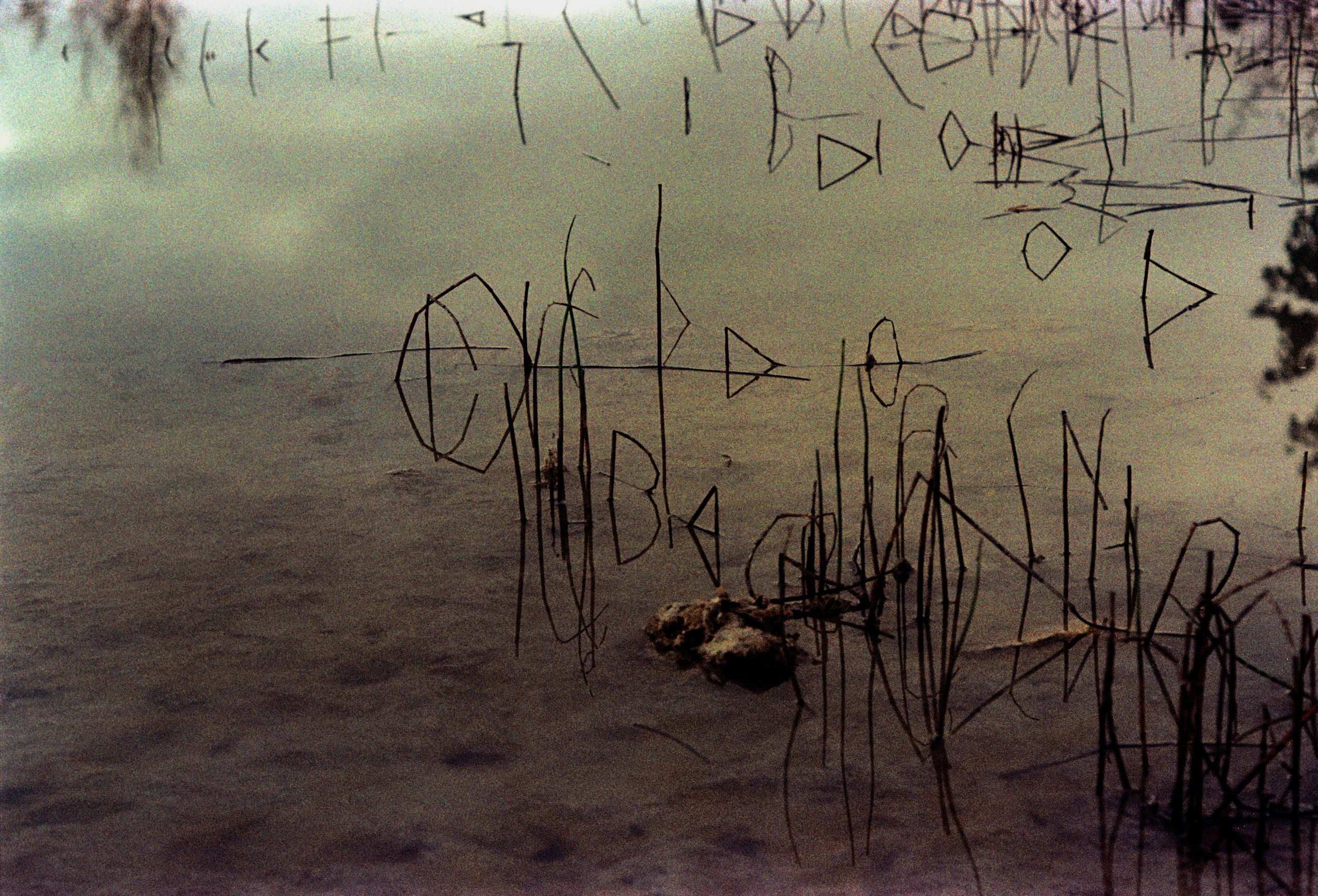 N1. Стилист и плёночный фотограф Анастасия Шлокова в Санкт-Петербурге и Москве