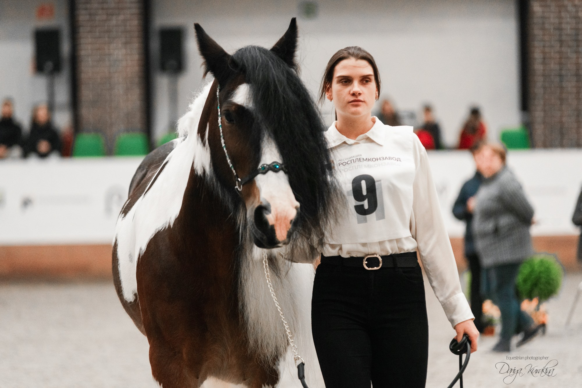 8-я международная выставка Конная Россия. Конный фотограф Куракина Дарья • Фотосессии с лошадьми