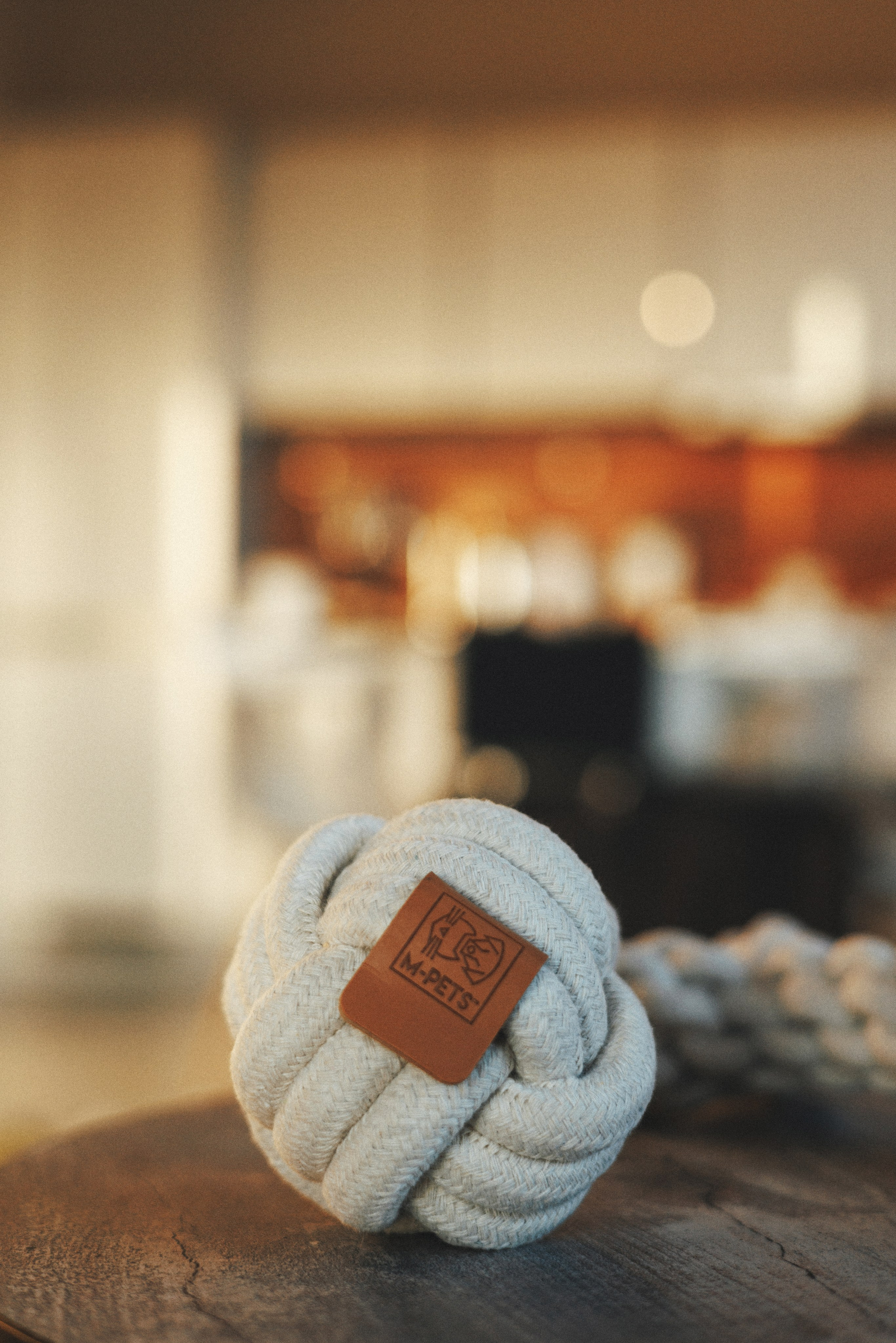 M-Pets. Фотограф анималист Осипчикова Мария