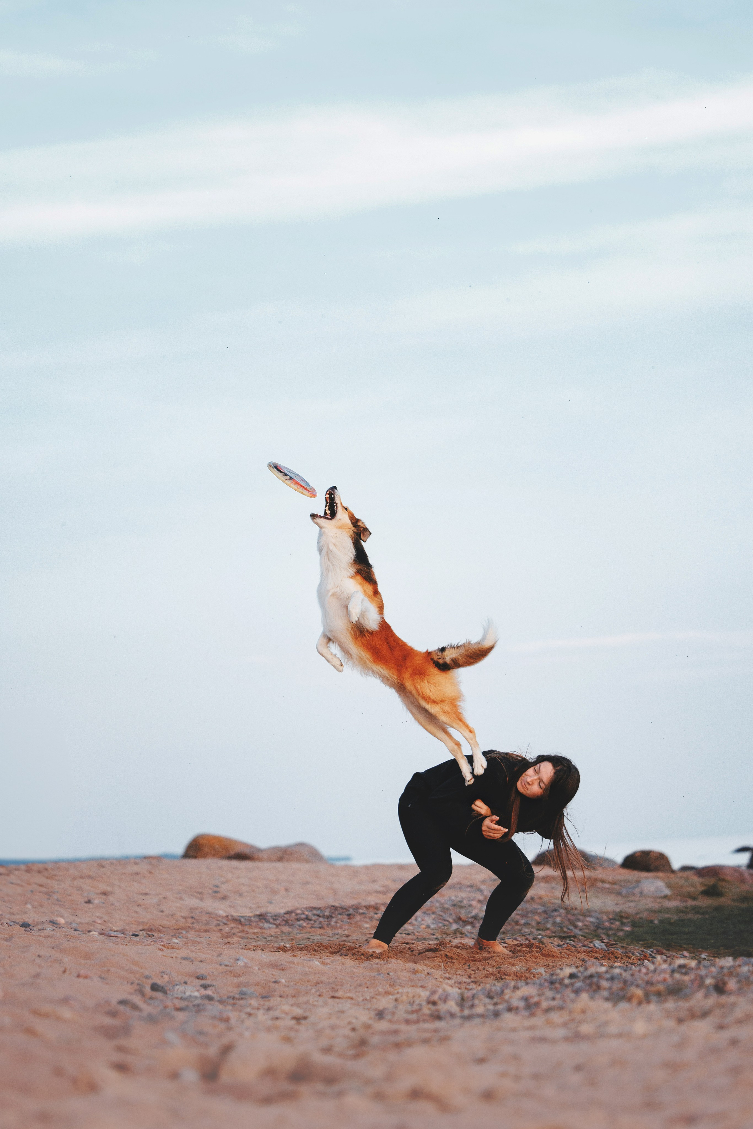Рита, Маша и много собак. Фотограф анималист Осипчикова Мария