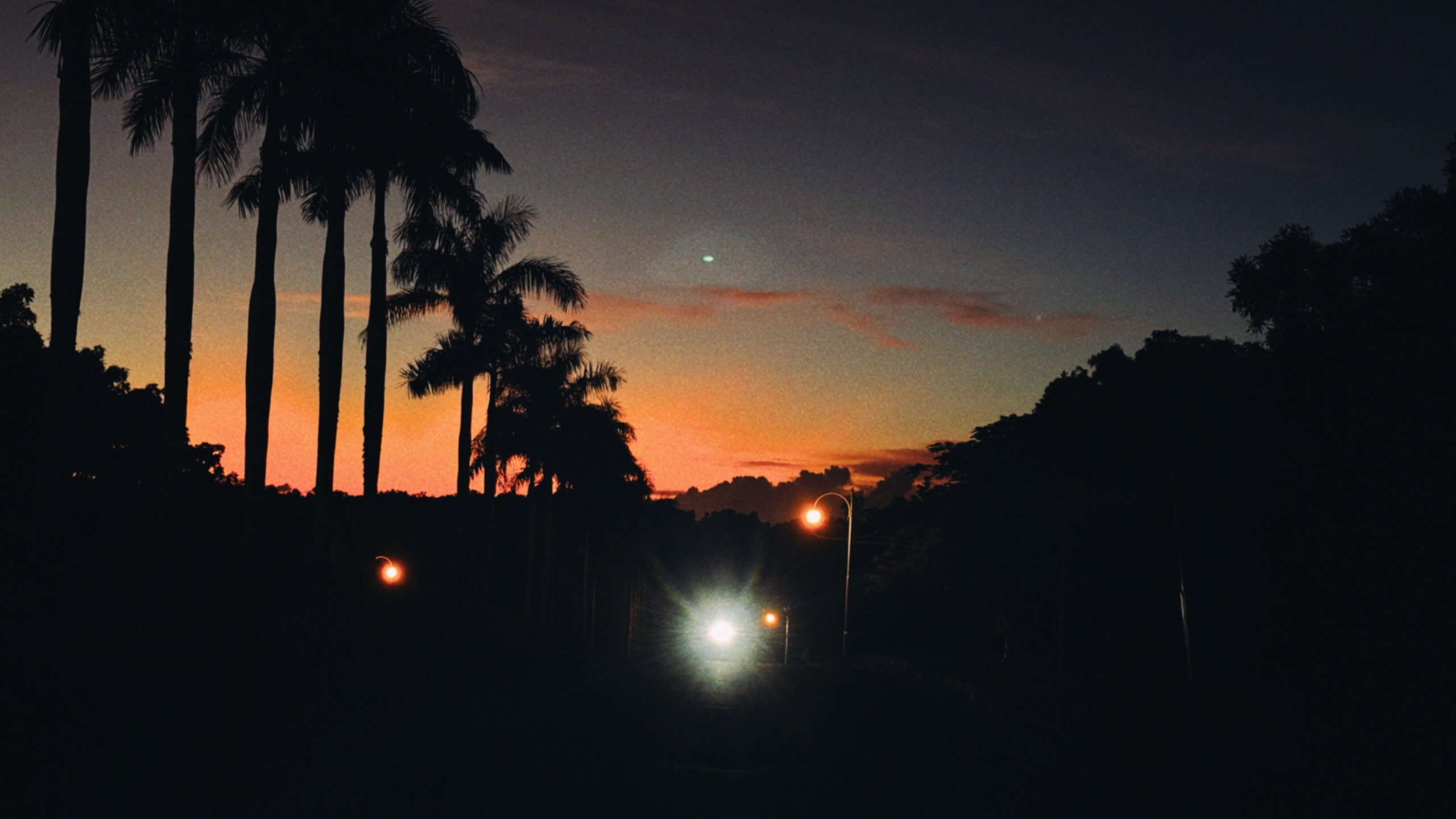 SUN. Виолетта Скрипка