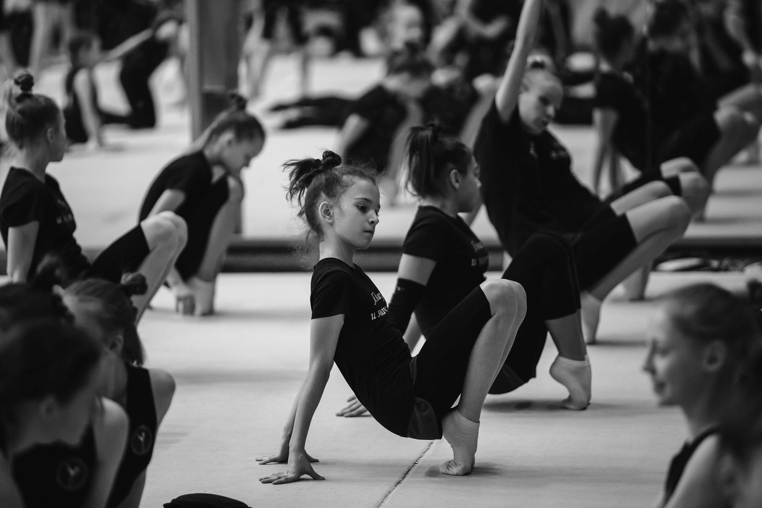 Кубок России по эстетической гимнастике. Спортивный фотограф Александр Васильев. RG и AGG