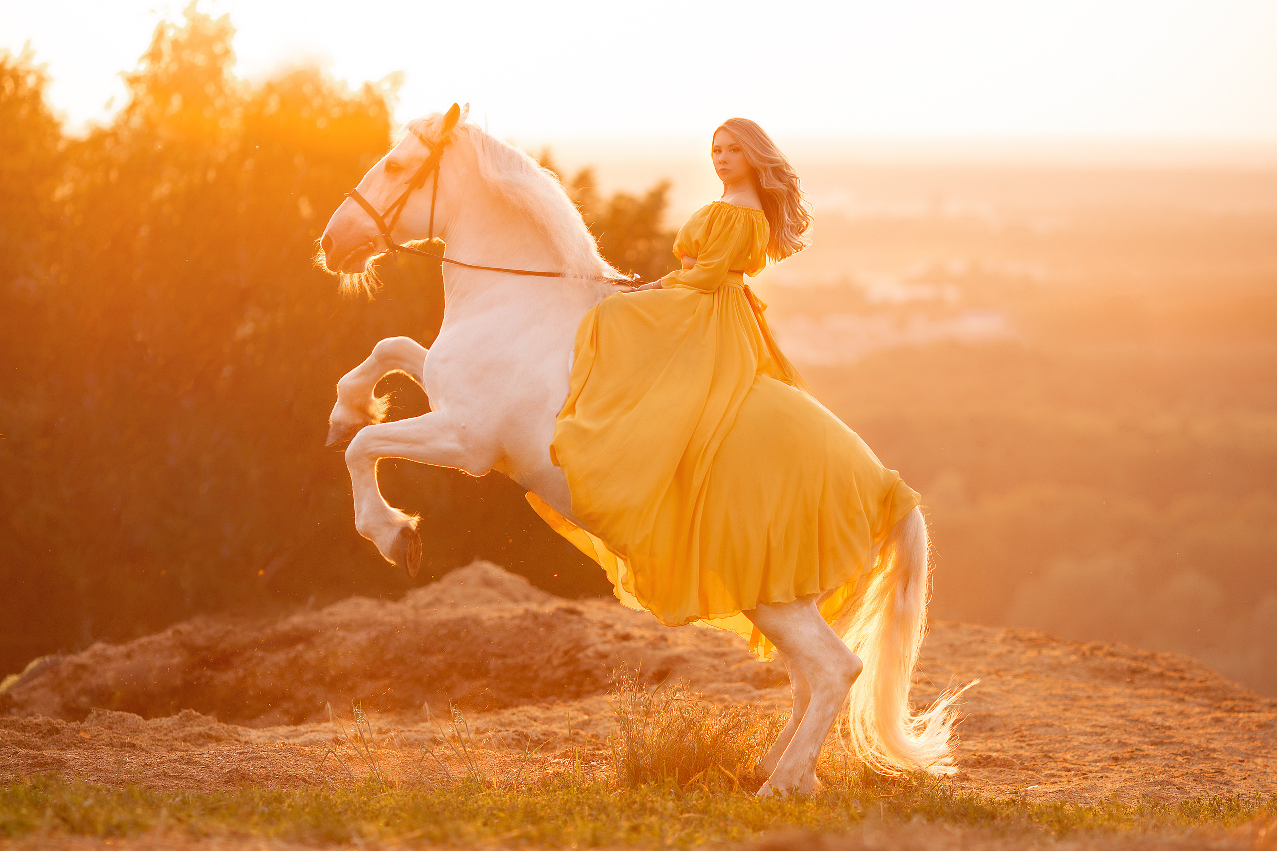 Фотосессия Даши и Воробья. Фотосессия с лошадьми в Нижнем Новгороде