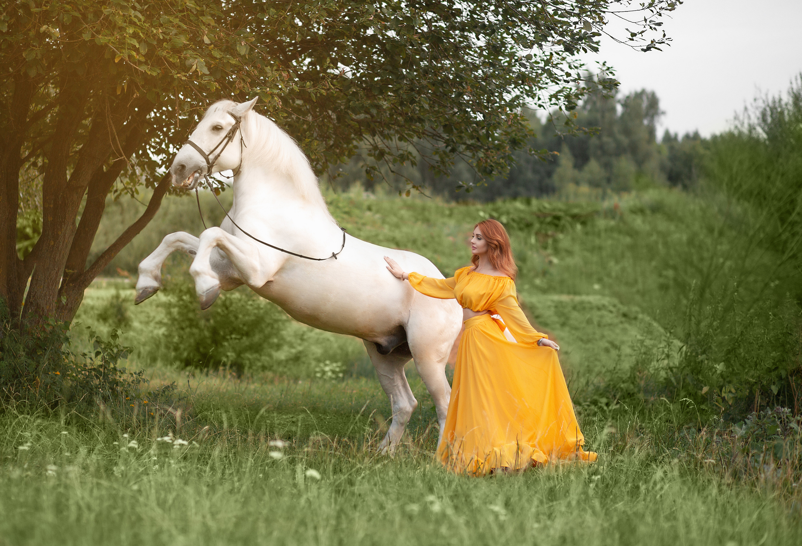 Алена и Воробей. Фотосессия с лошадьми в Нижнем Новгороде