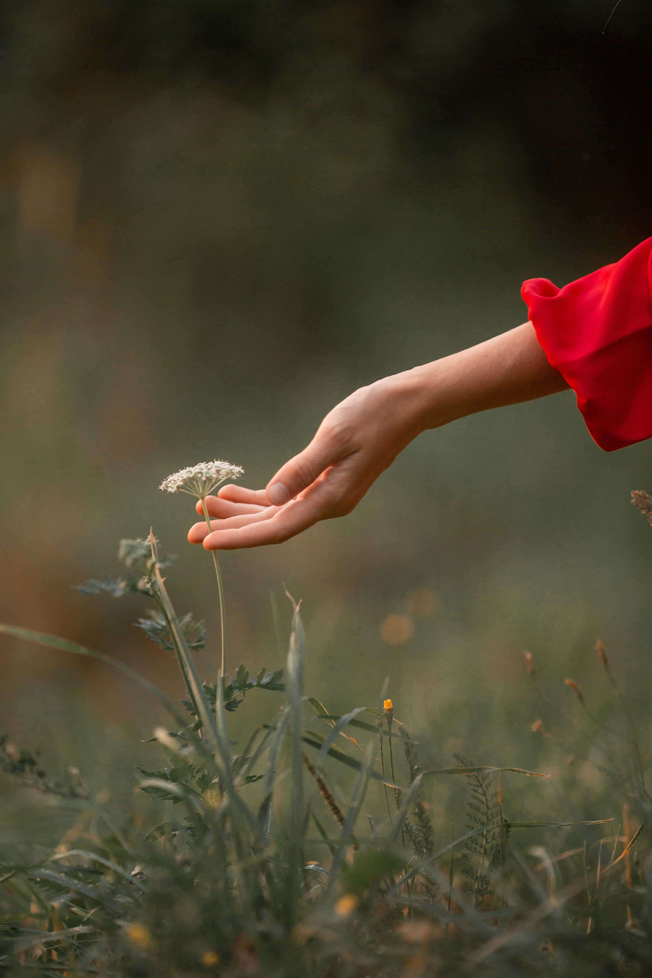 Фотосессия Марии и Воробья. Фотосессия с лошадьми в Нижнем Новгороде
