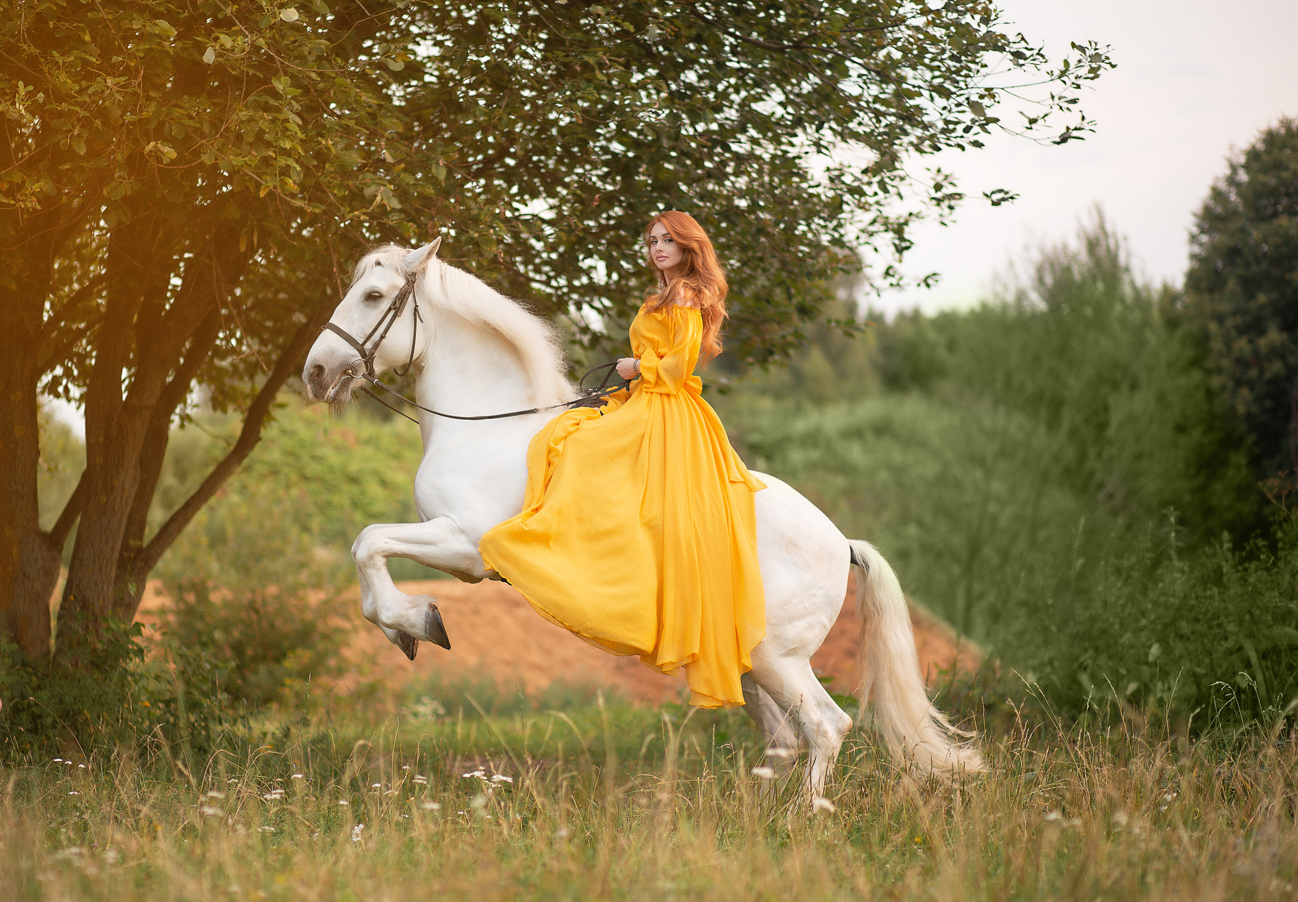 Алена и Воробей. Фотосессия с лошадьми в Нижнем Новгороде