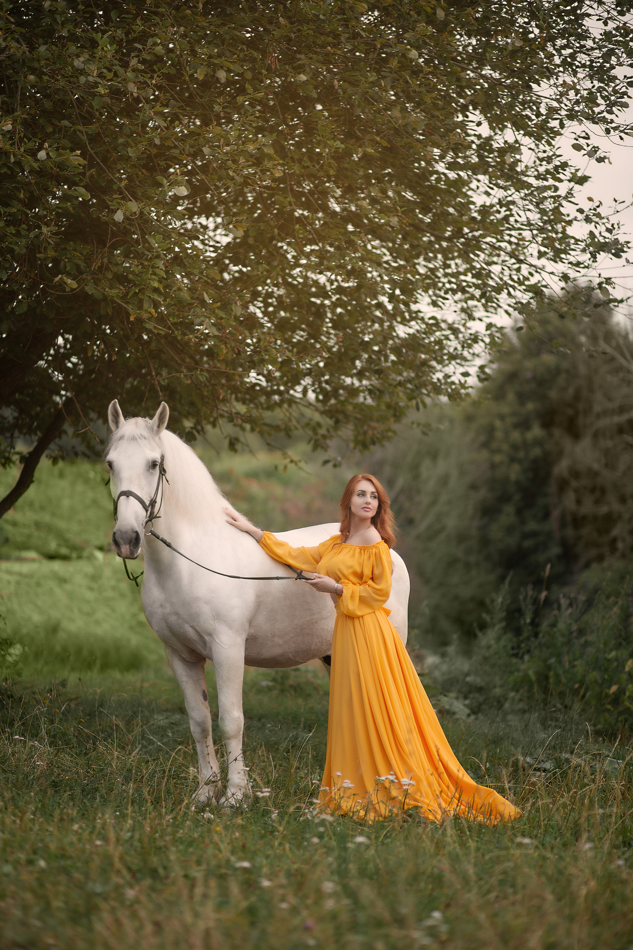 Алена и Воробей. Фотосессия с лошадьми в Нижнем Новгороде
