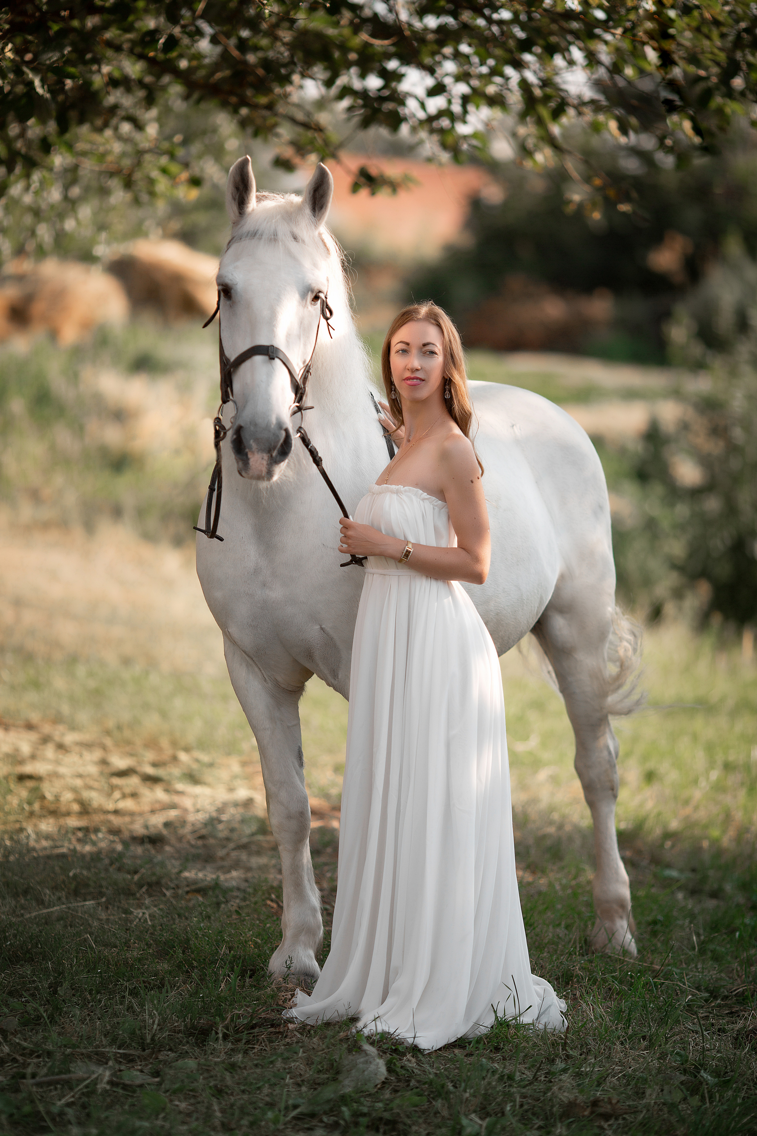 Ольга и Воробушек. Фотосессия с лошадьми в Нижнем Новгороде