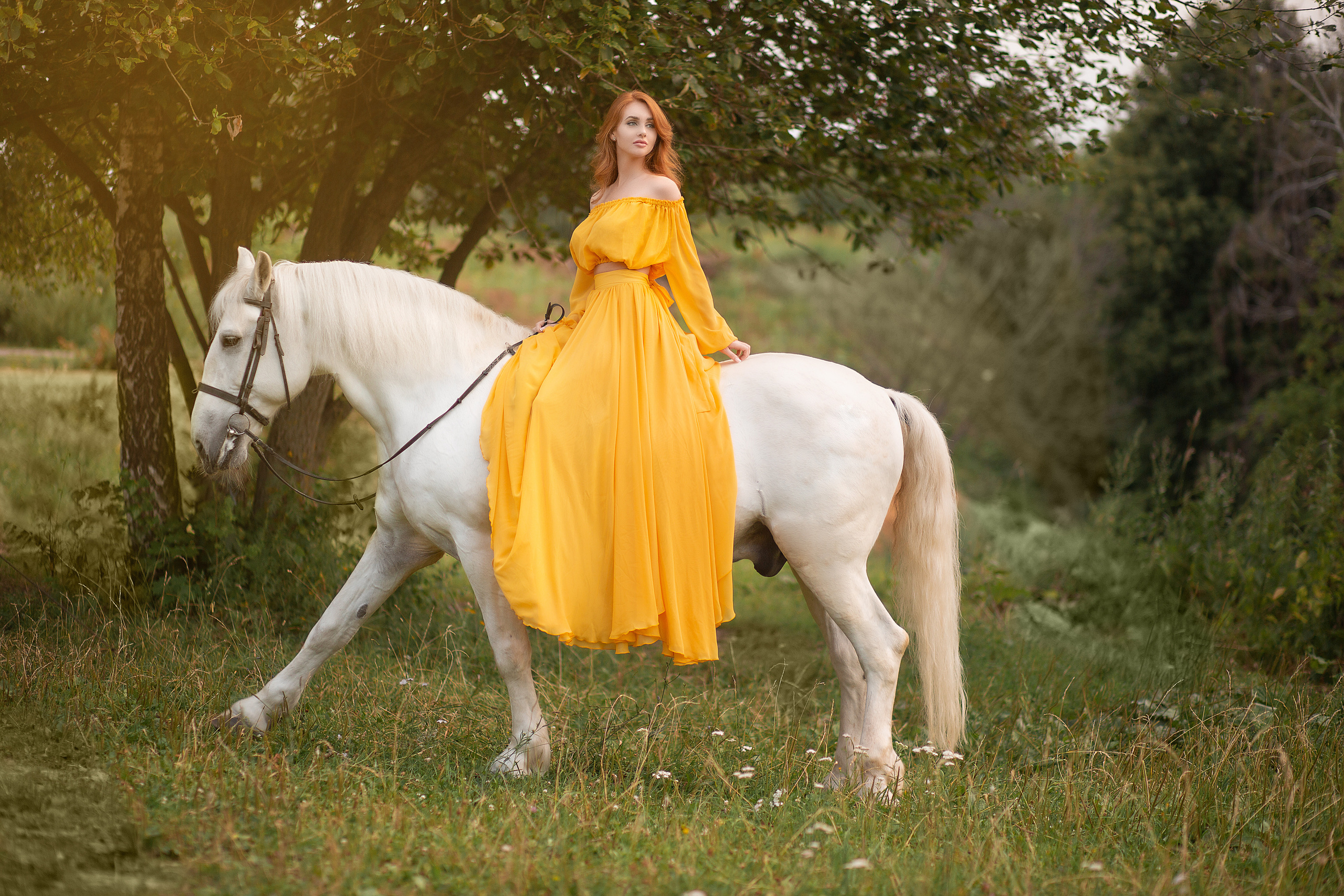 Алена и Воробей. Фотосессия с лошадьми в Нижнем Новгороде