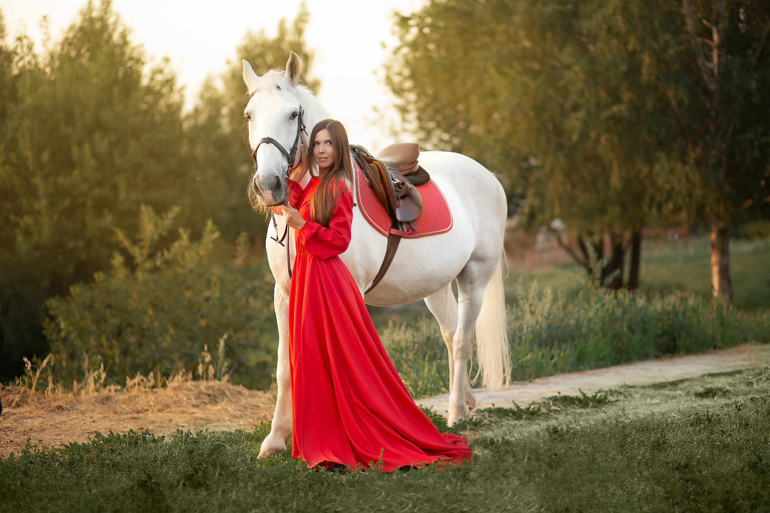 Ира и Воробей. Фотосессия с лошадьми в Нижнем Новгороде