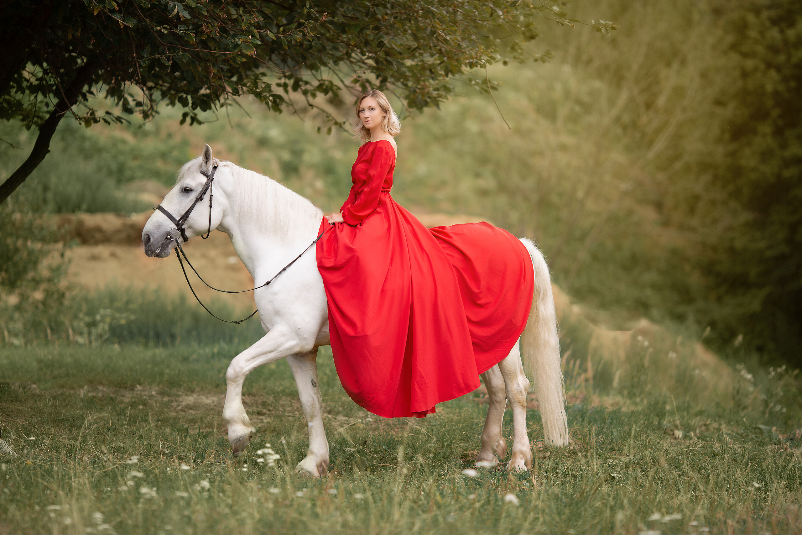 Аня и Воробушек. Фотосессия с лошадьми в Нижнем Новгороде