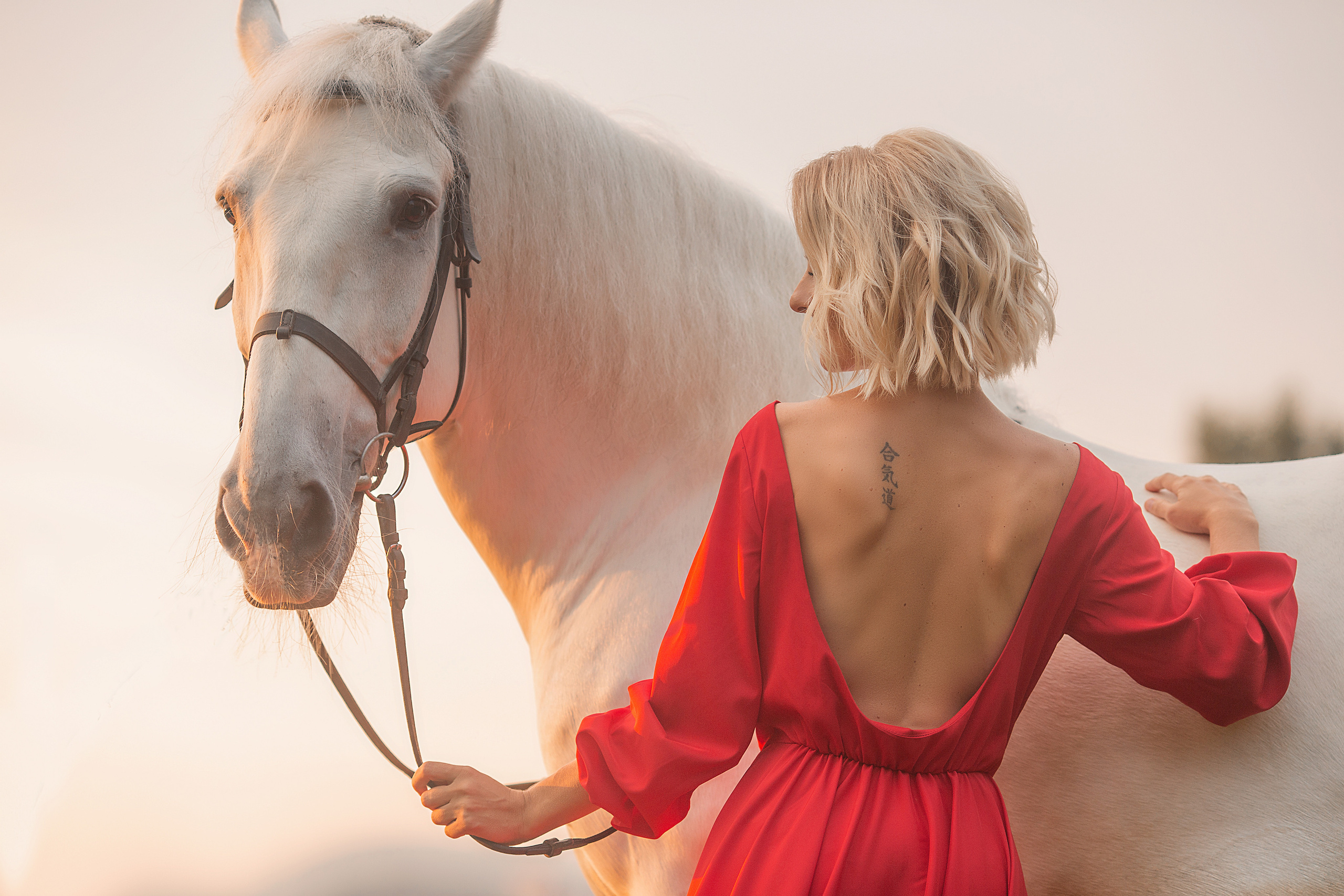Фотосессия Марии и Воробья. Фотосессия с лошадьми в Нижнем Новгороде