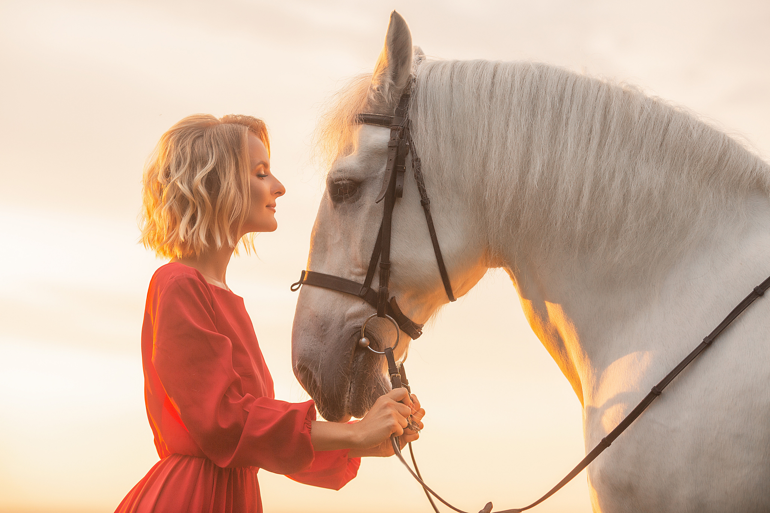Фотосессия Марии и Воробья. Фотосессия с лошадьми в Нижнем Новгороде