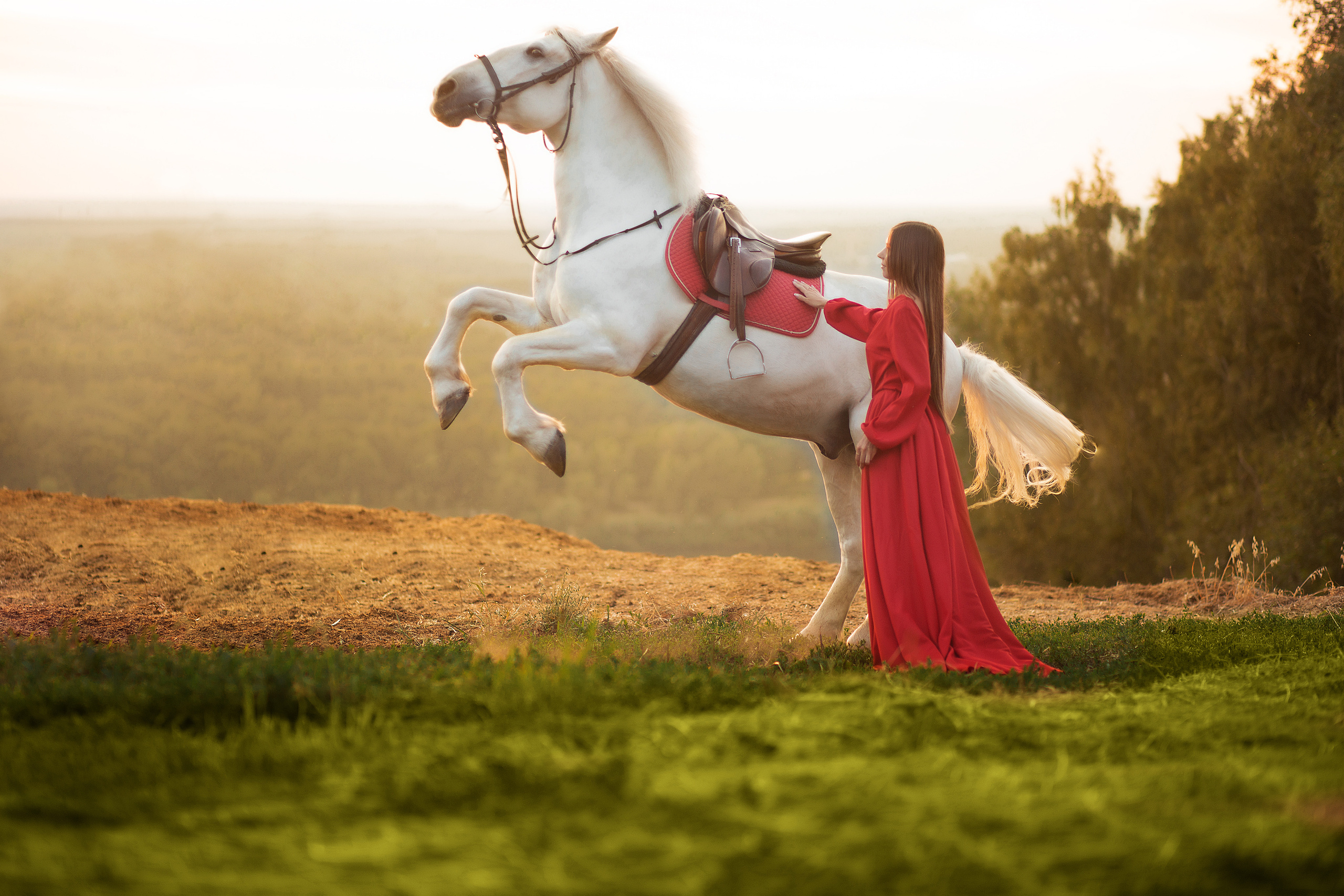 Ира и Воробей. Фотосессия с лошадьми в Нижнем Новгороде