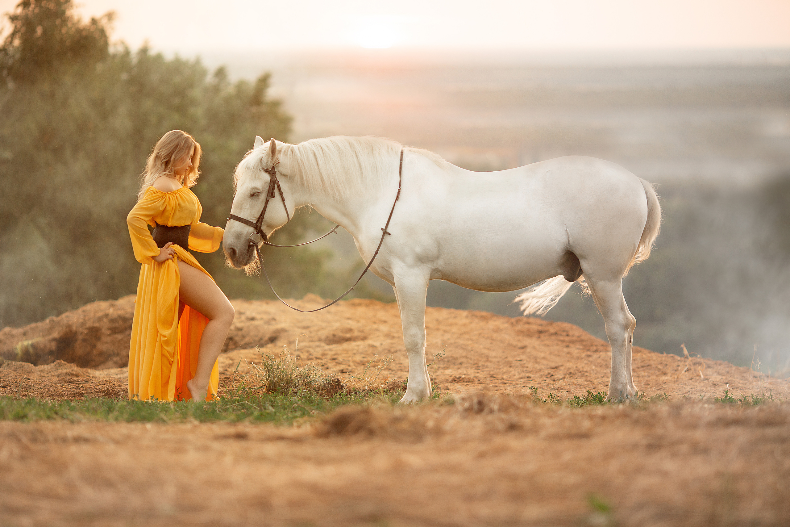 Фотосессия Даши и Воробья. Фотосессия с лошадьми в Нижнем Новгороде