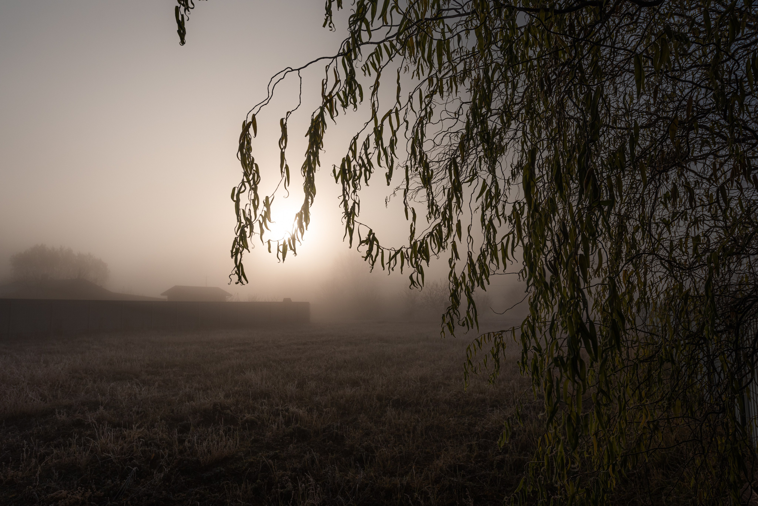 Фотографии утреннего тумана под Волжским. Фотограф в Волгограде и Волжском Александр Горбань
