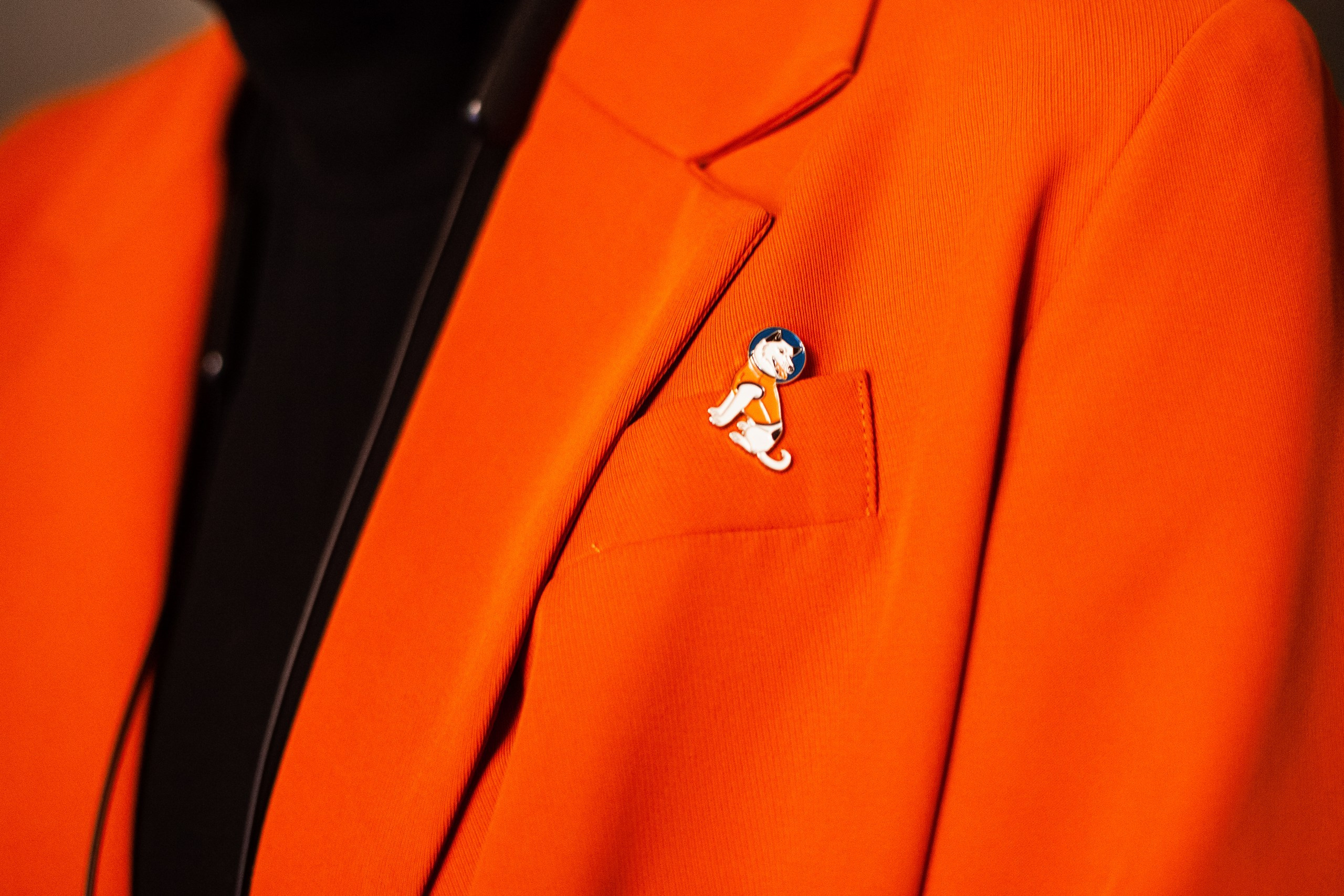 Мопсовстреча 02.12.2023. Фотограф-анималист Татьяна Степанова