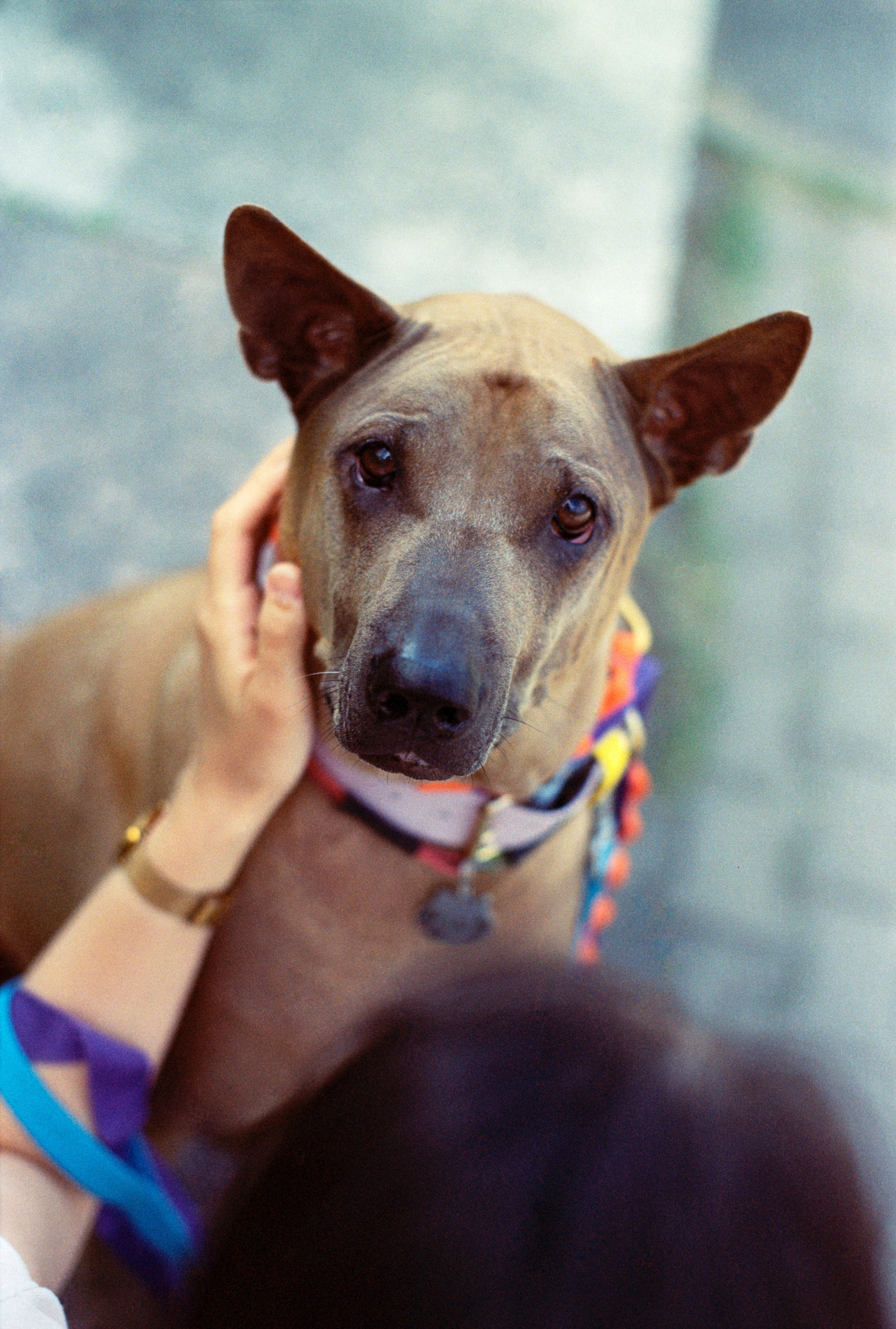 VOX. Стилист и плёночный фотограф Анастасия Шлокова в Санкт-Петербурге и Москве