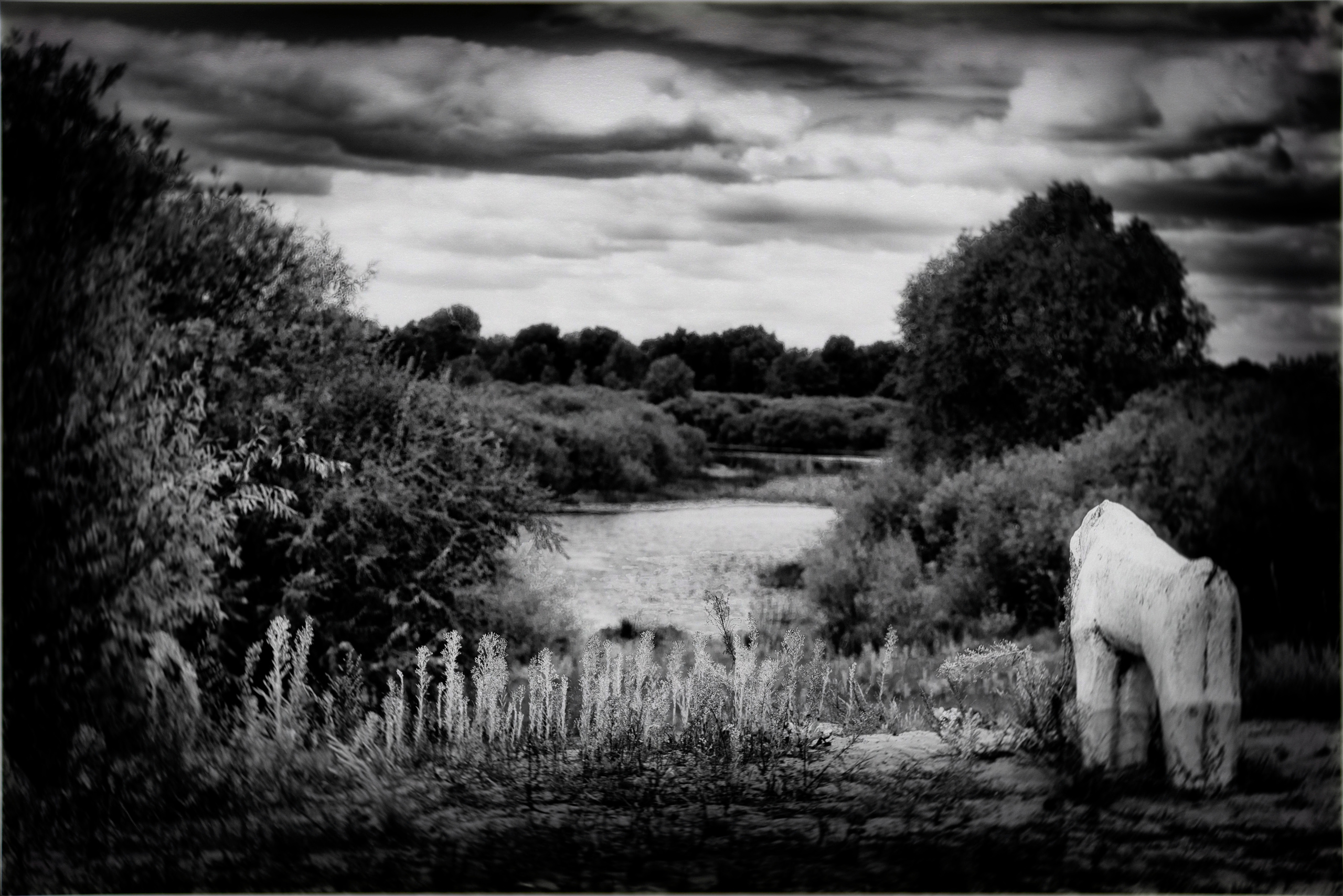 ЧБ  пейзажи (BnW landscape). Фотограф (photographer) Lischinski Vitaliy