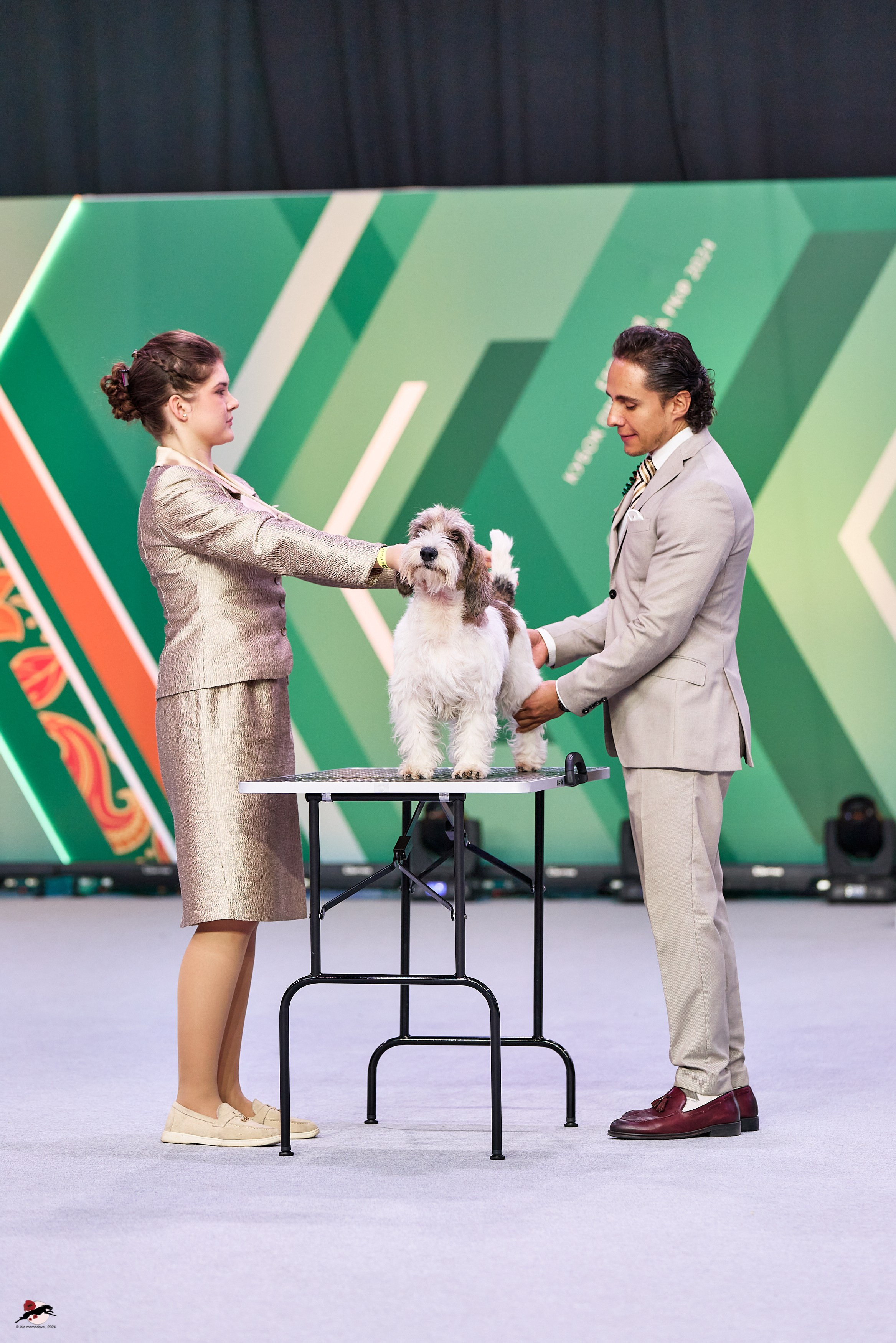 17.11.2024 «ЕВРАЗИЯ. КУБОК СНГ 2024»