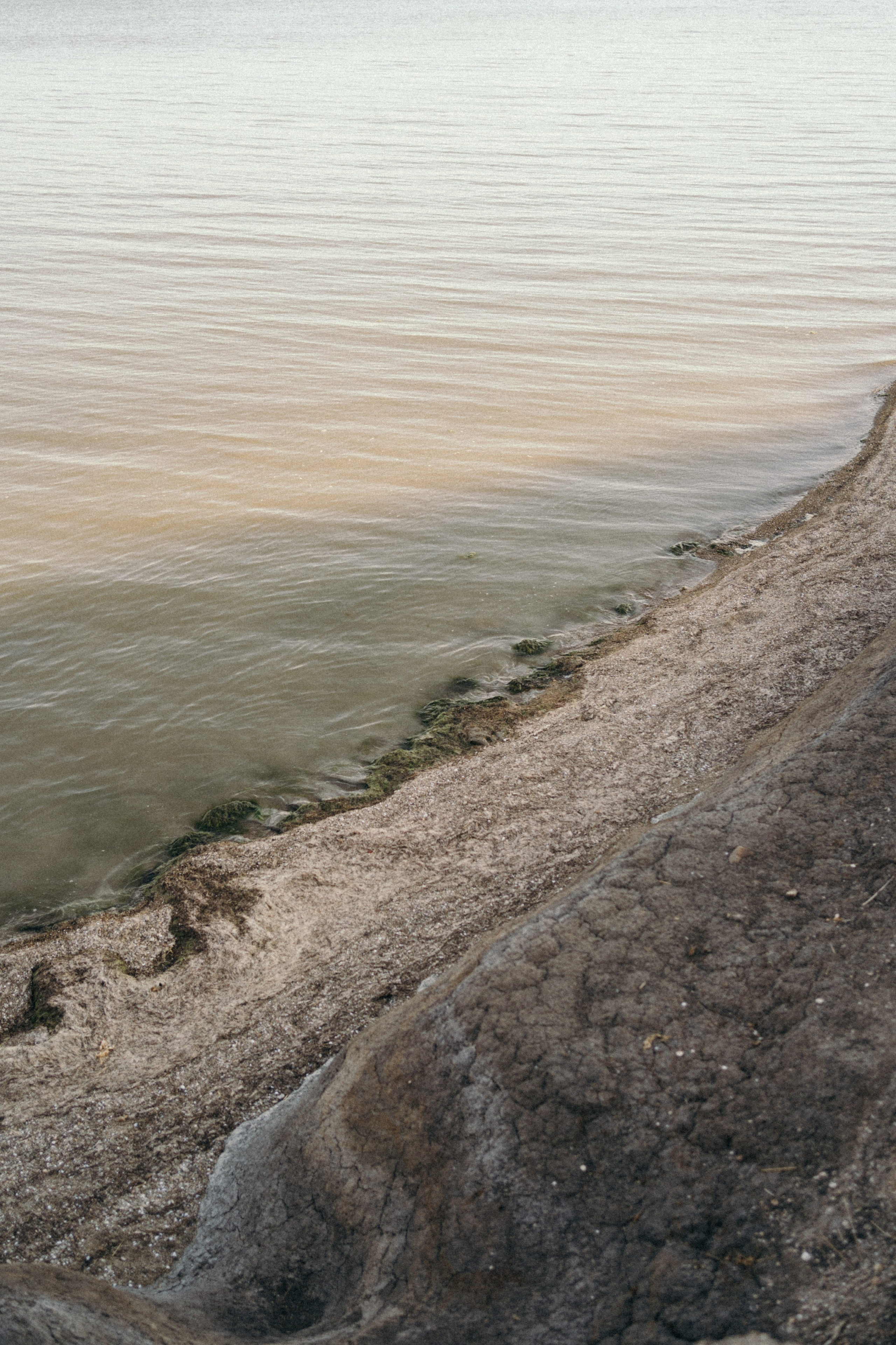 Сила в семье. Свадебный фотограф в Краснодаре и Сочи Винидиктова Екатерина