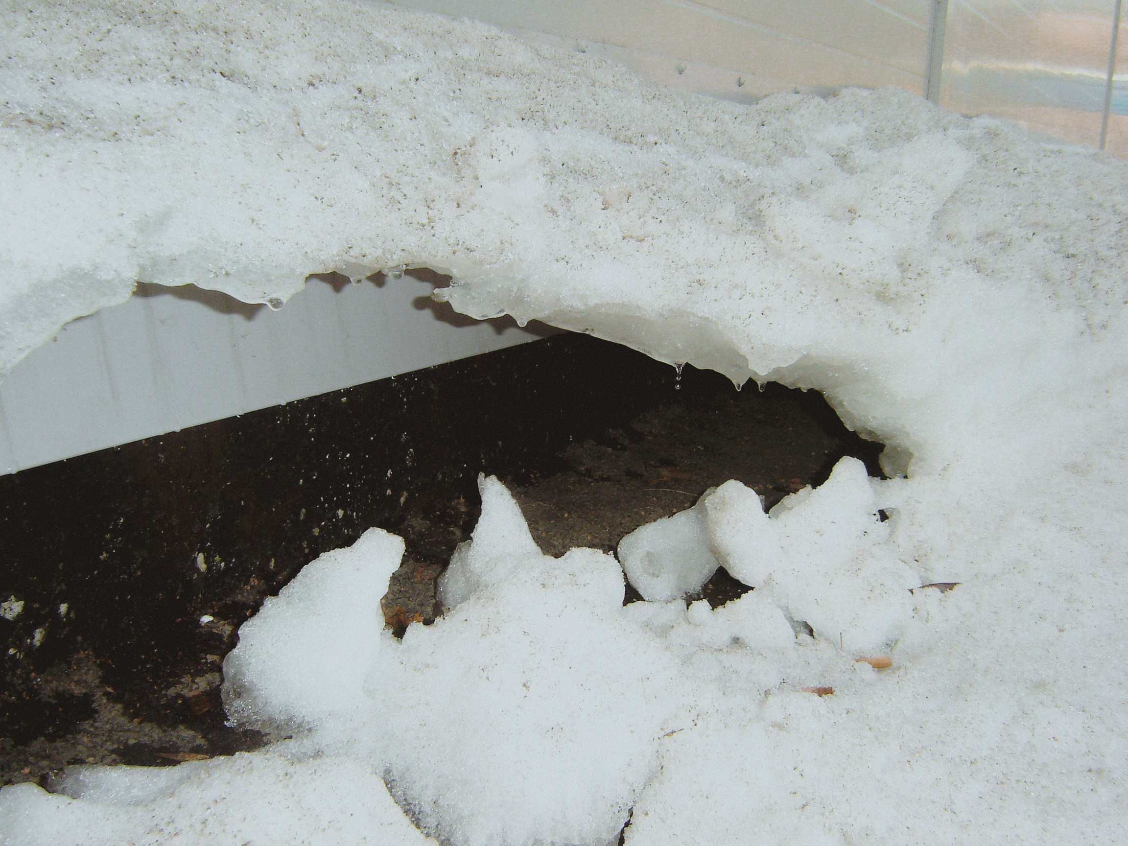 Sony cyber shot dsc p50. Анна Мильч