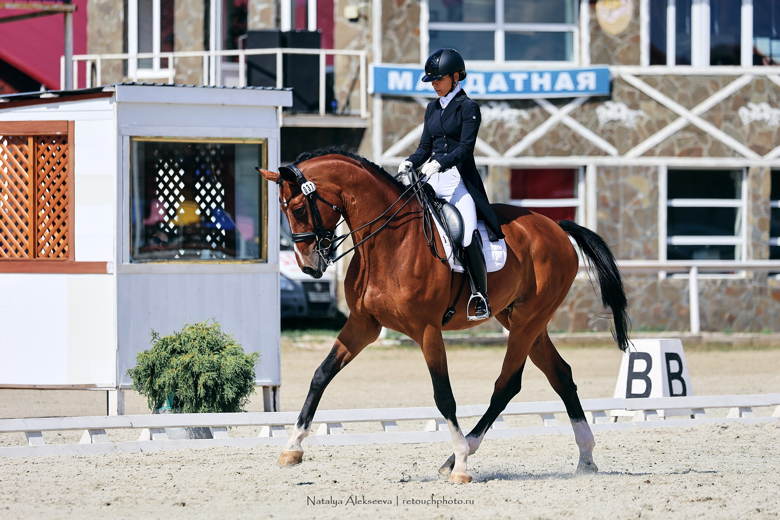 Личный ЧР по выездке, КСК Конаковские конюшни | 08'2023. Репортажный фотограф и ретушер в Москве Наталья Алексеева