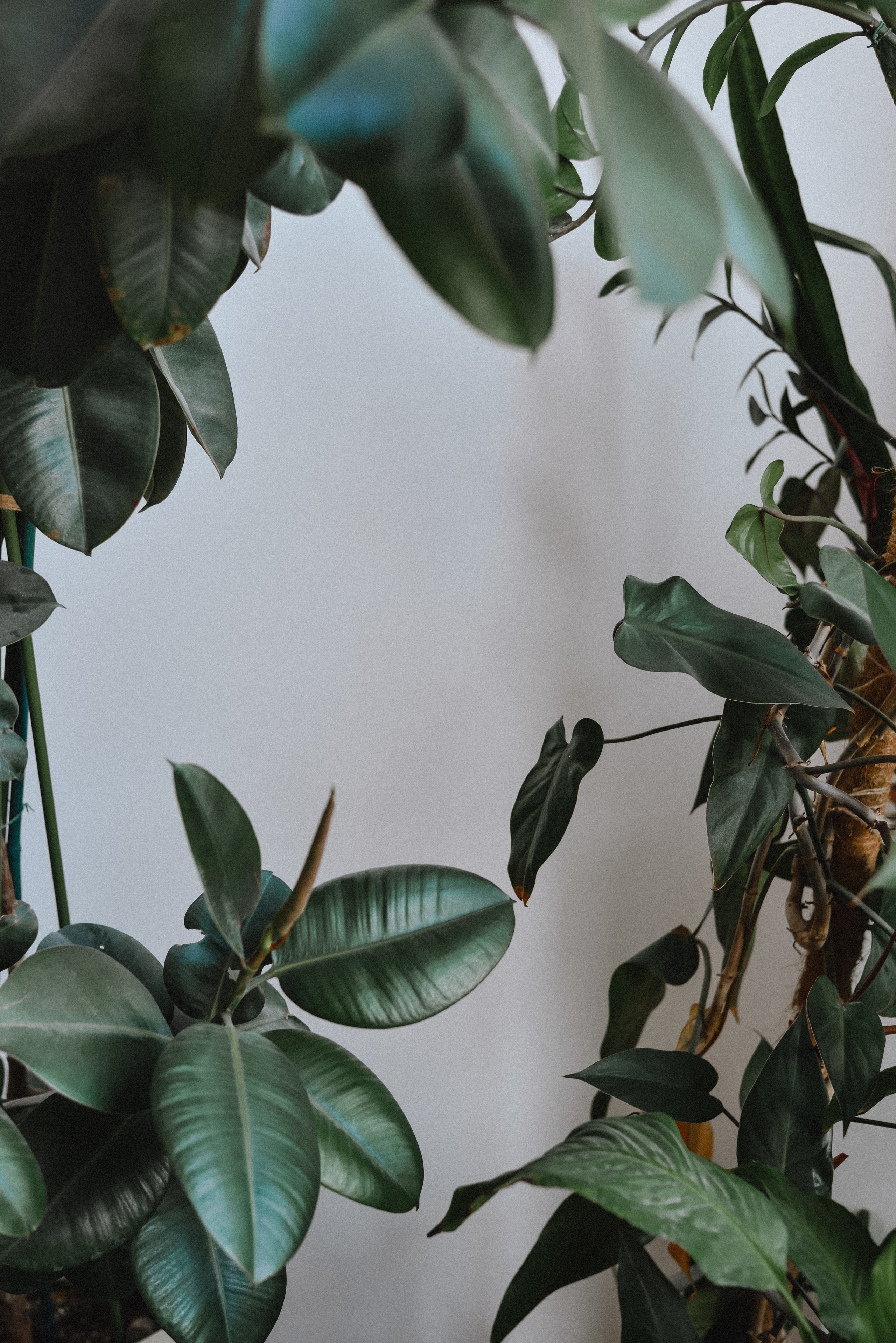 Надежда контент-съемка. Нежный фотограф Вера Папиж