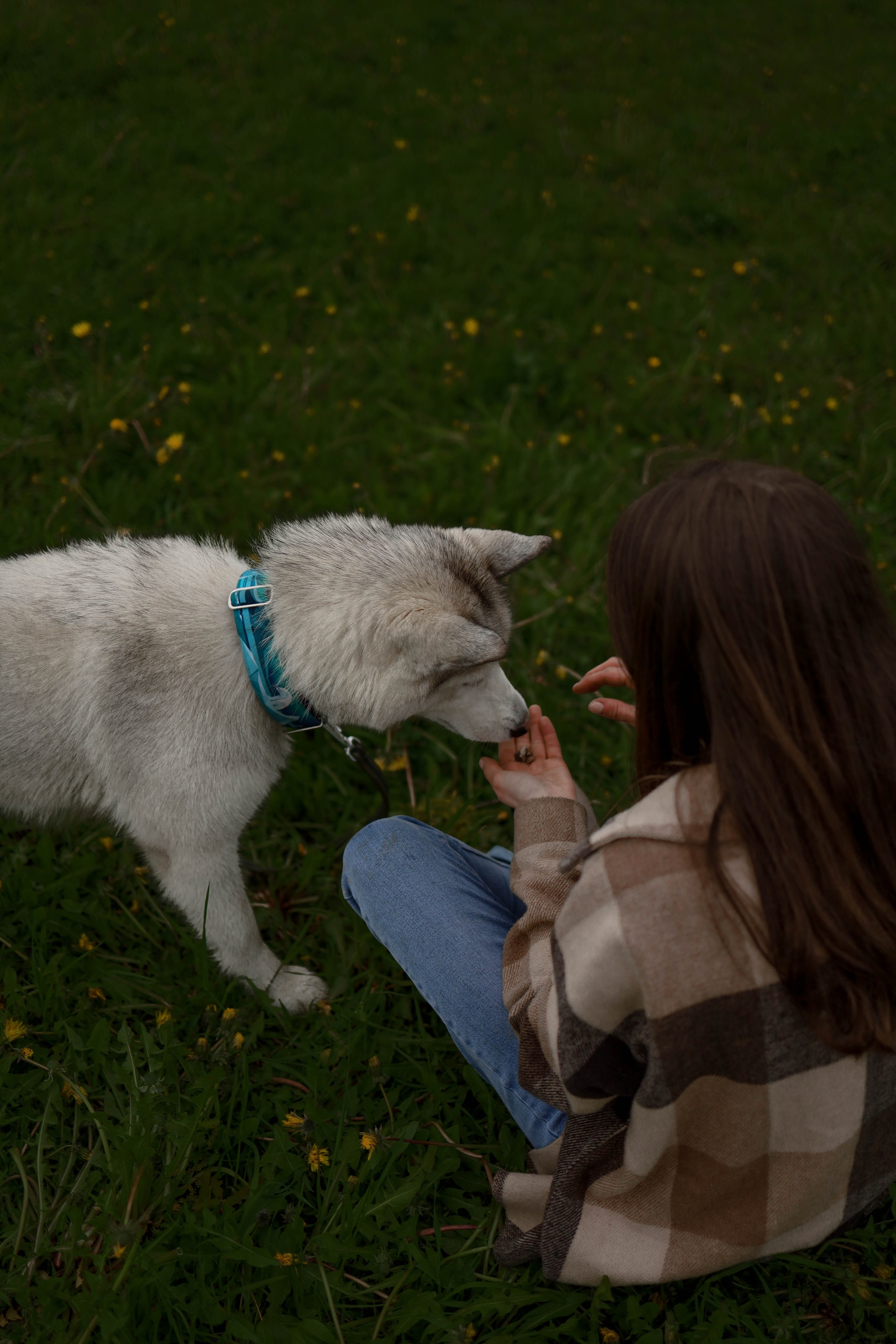 Шанти и Катя. Фотограф-анималист в Санкт-Петеребурге Титова Алиса