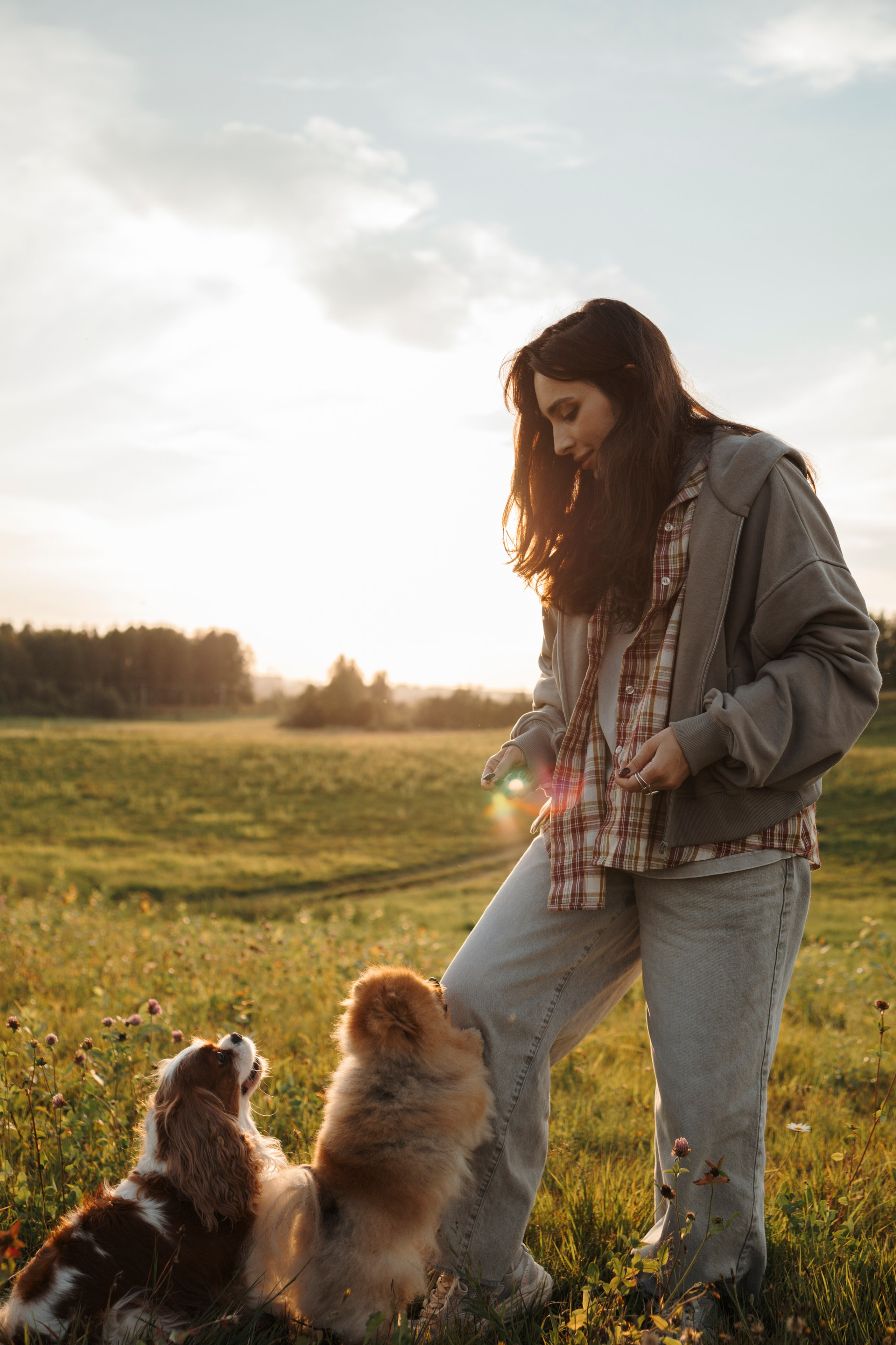 На закате Катерина, Луна и Рикки. Фотограф-анималист в Санкт-Петеребурге Титова Алиса