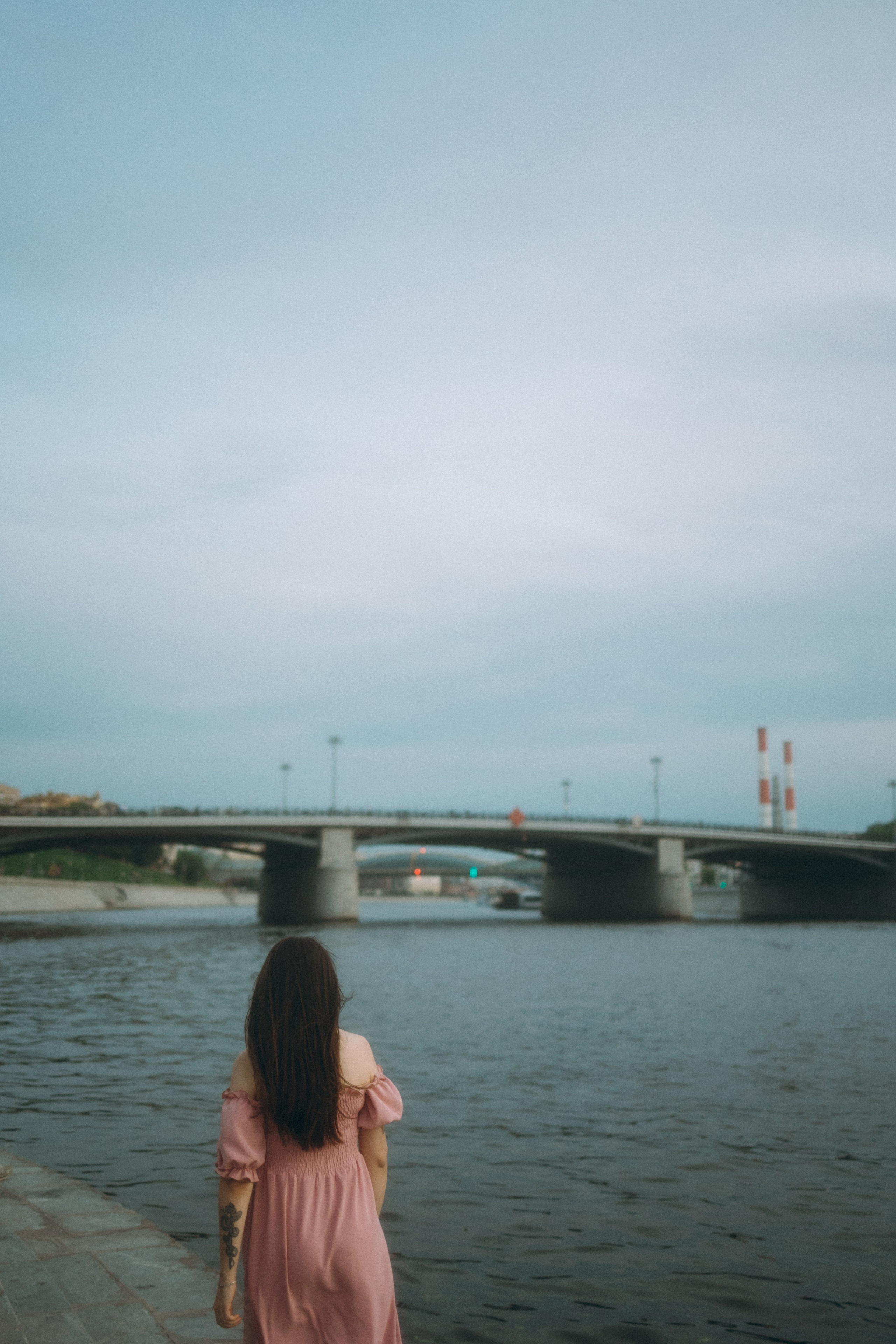 Глаша, Айрон, Ксюша и Оля. Фотограф анималист Анастасия Пикей