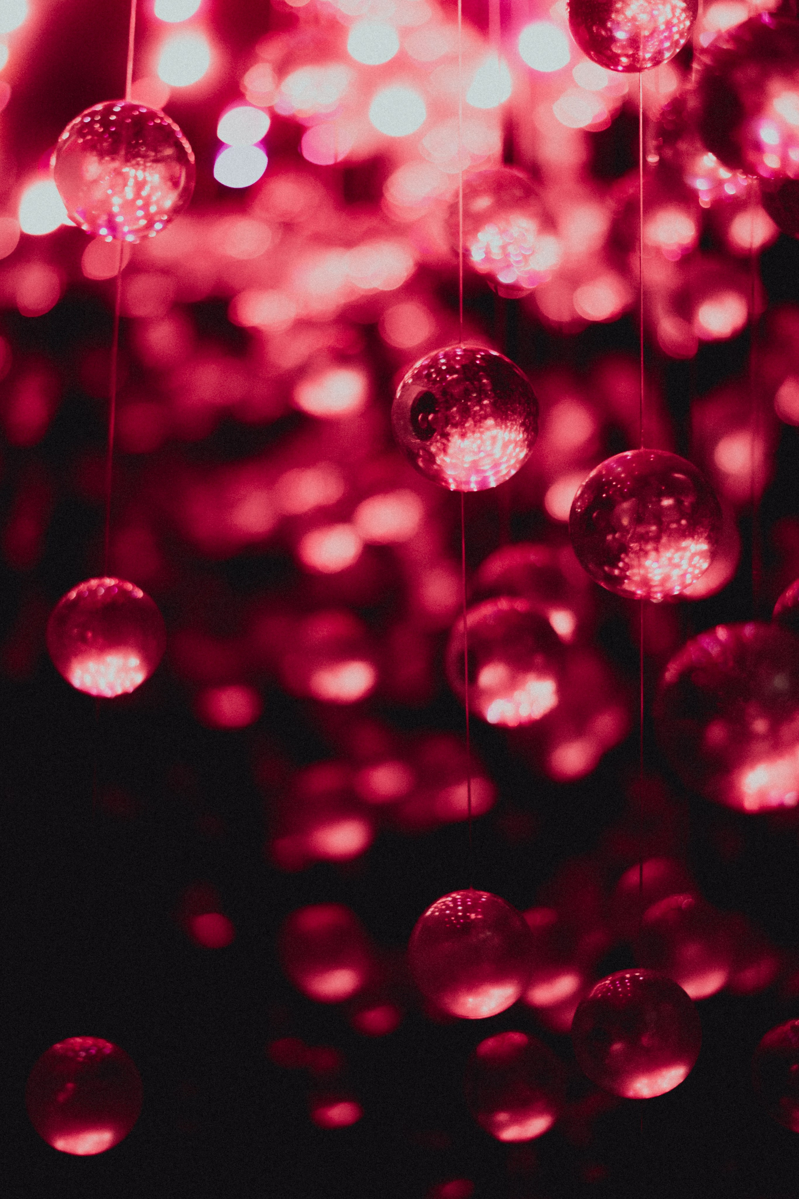 Съемка в музее Эрарта, U-space пространство «Вишневый сад»